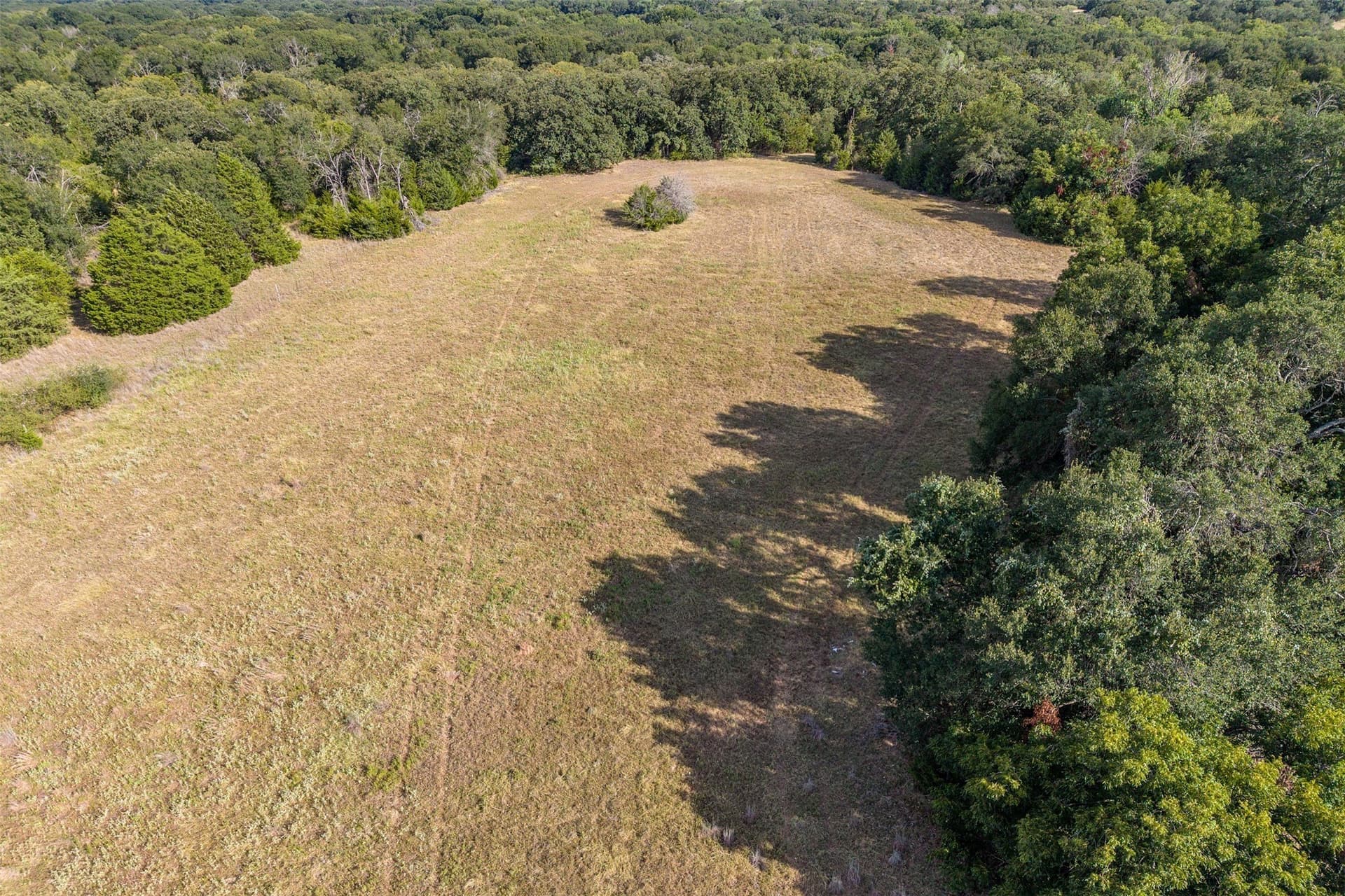 92 acres in Navarro County - photo 11