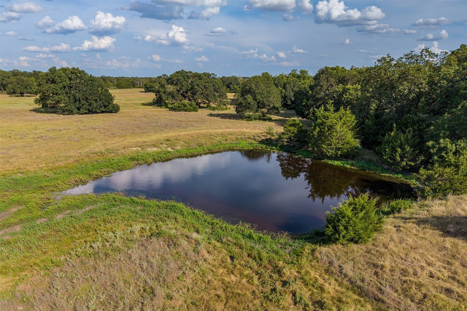 92 acres in Navarro County - photo 15
