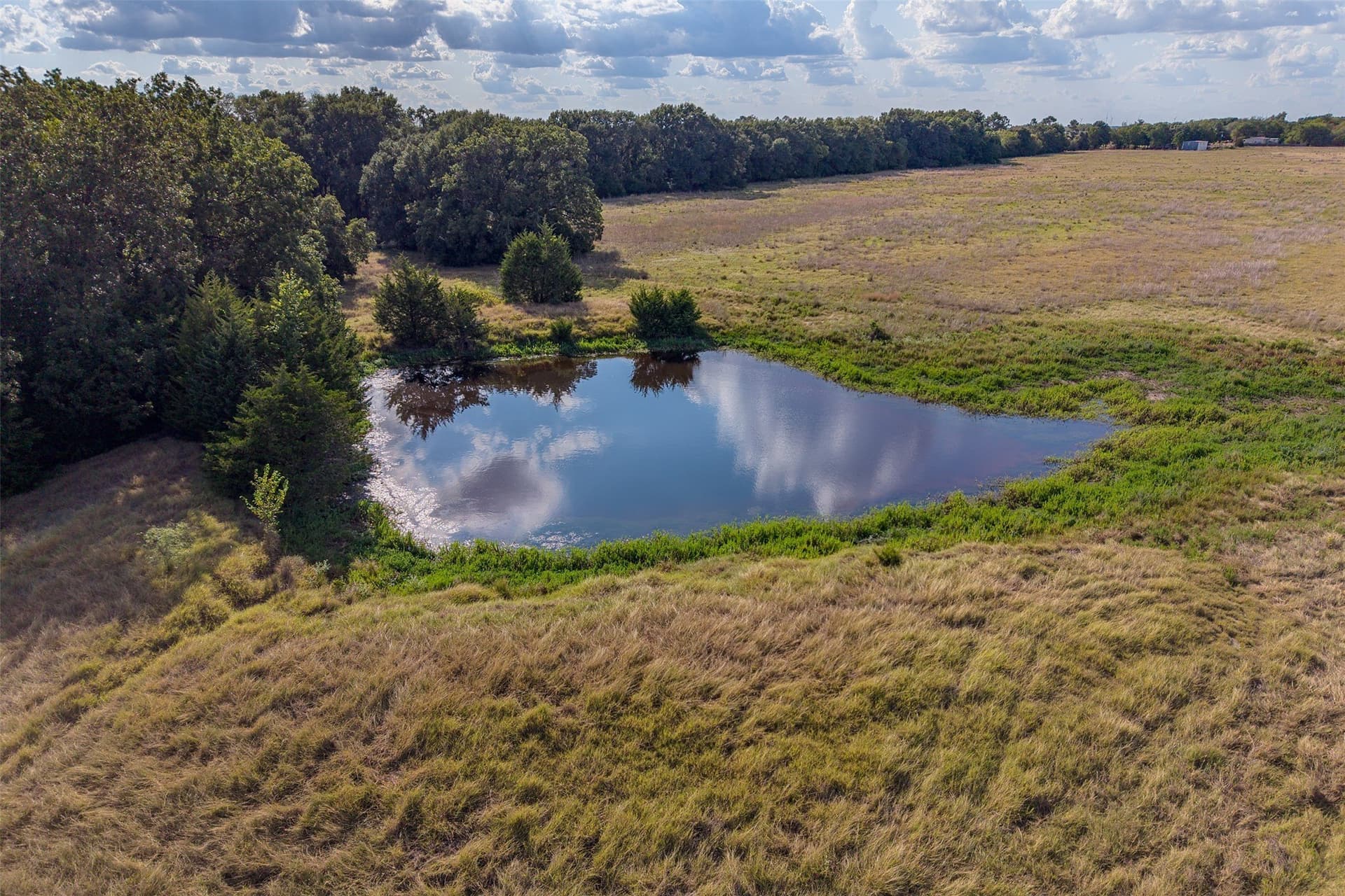 92 acres in Navarro County - photo 13