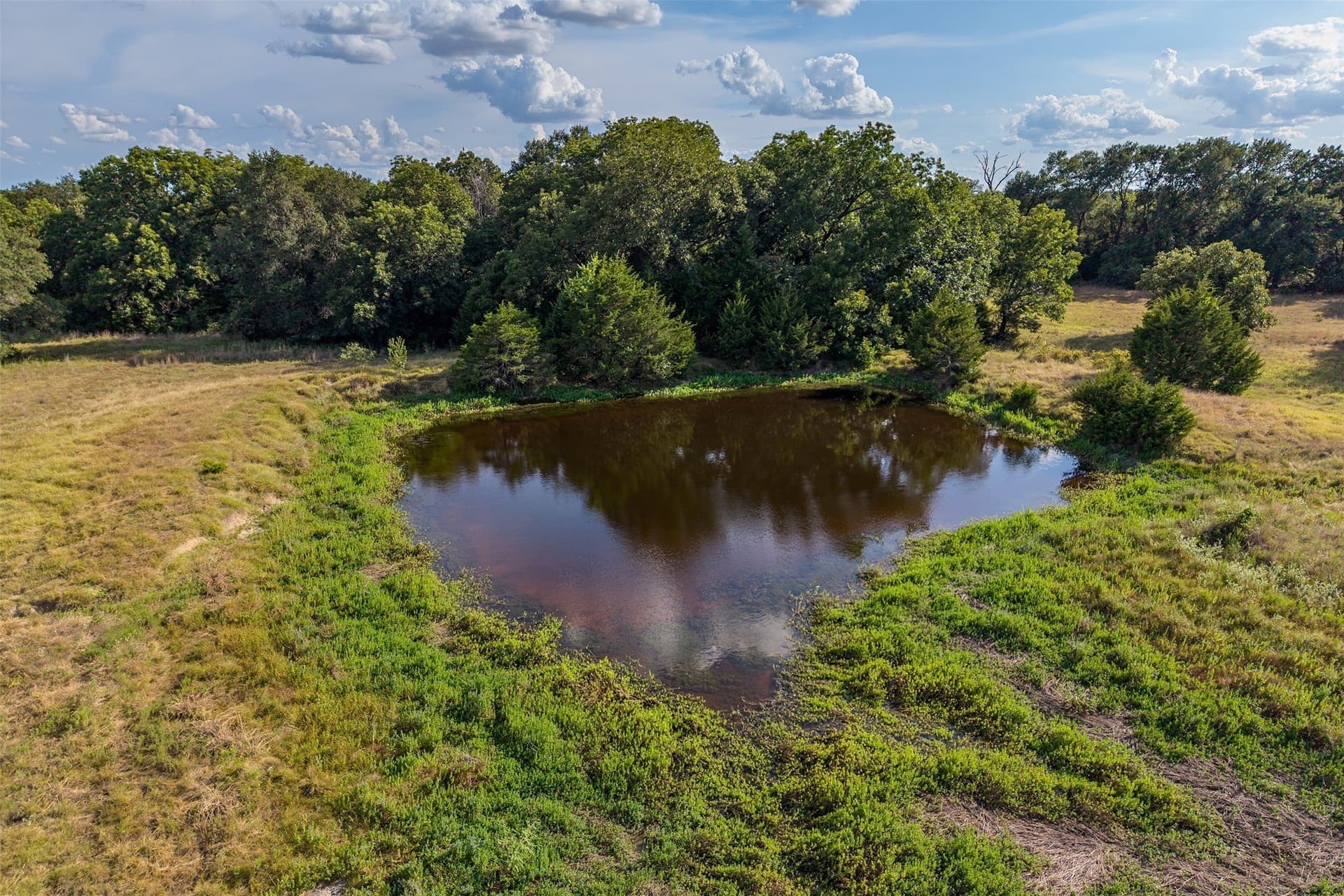 92 acres in Navarro County - photo 14