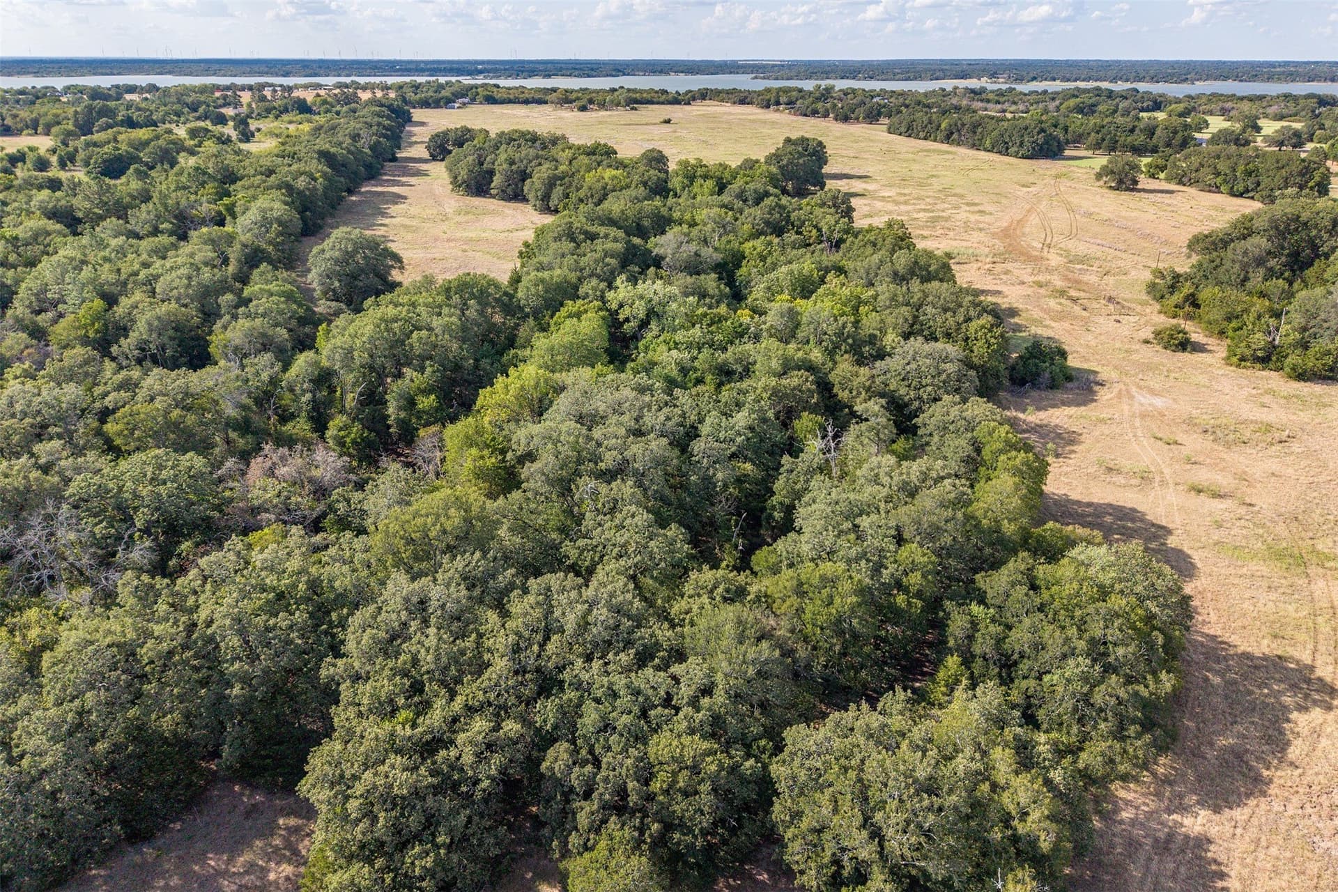 92 acres in Navarro County - photo 8