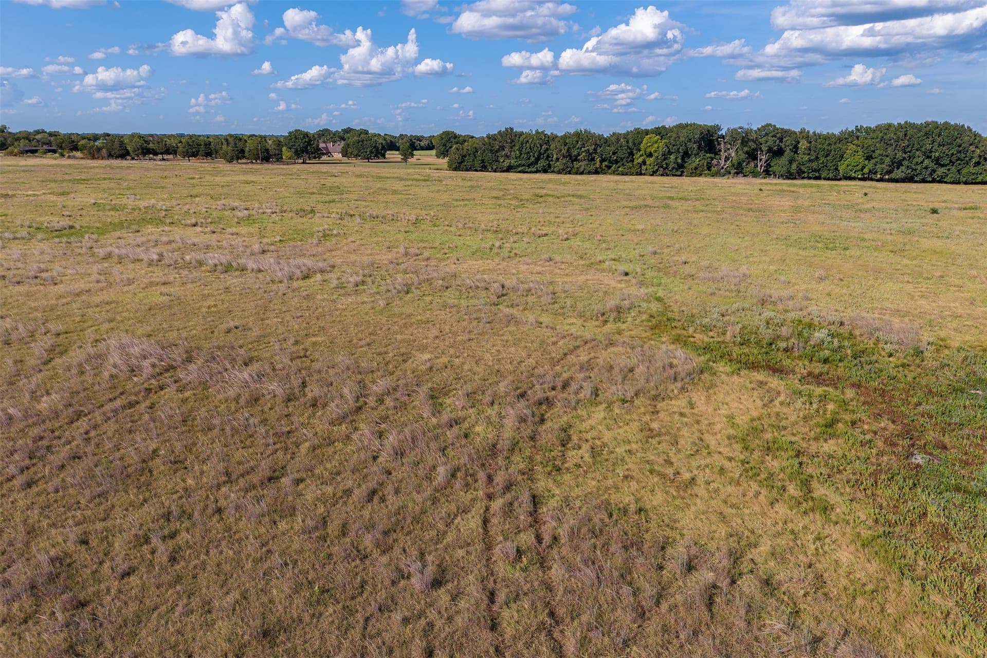 92 acres in Navarro County - photo 16
