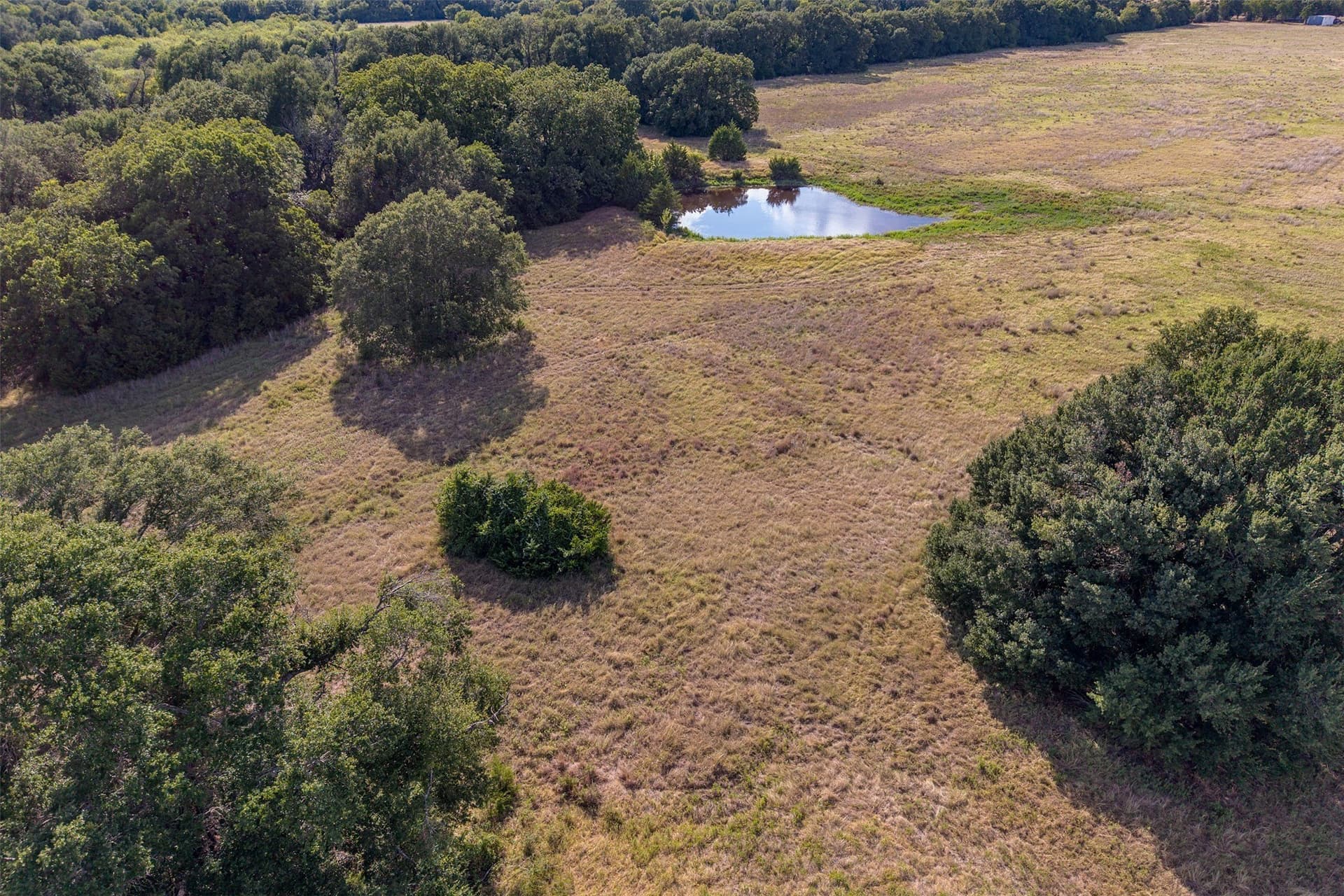 92 acres in Navarro County - photo 12