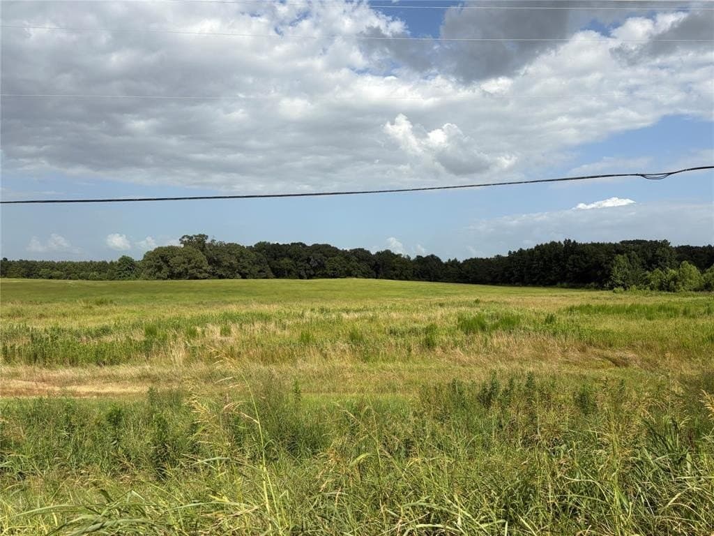 17.4 acres in Camp County gallery image 2