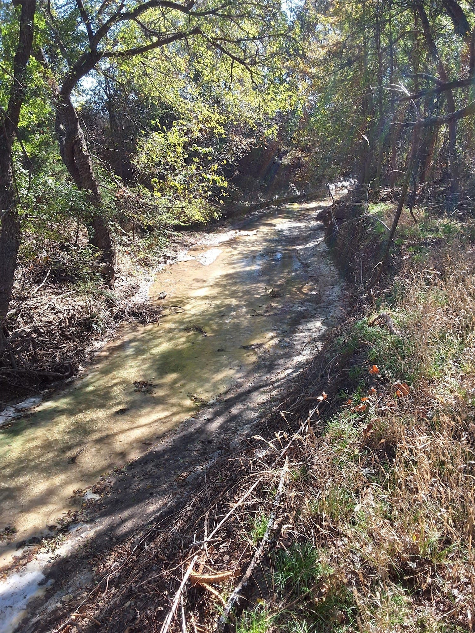 59.74 acres in Hill County gallery image 3