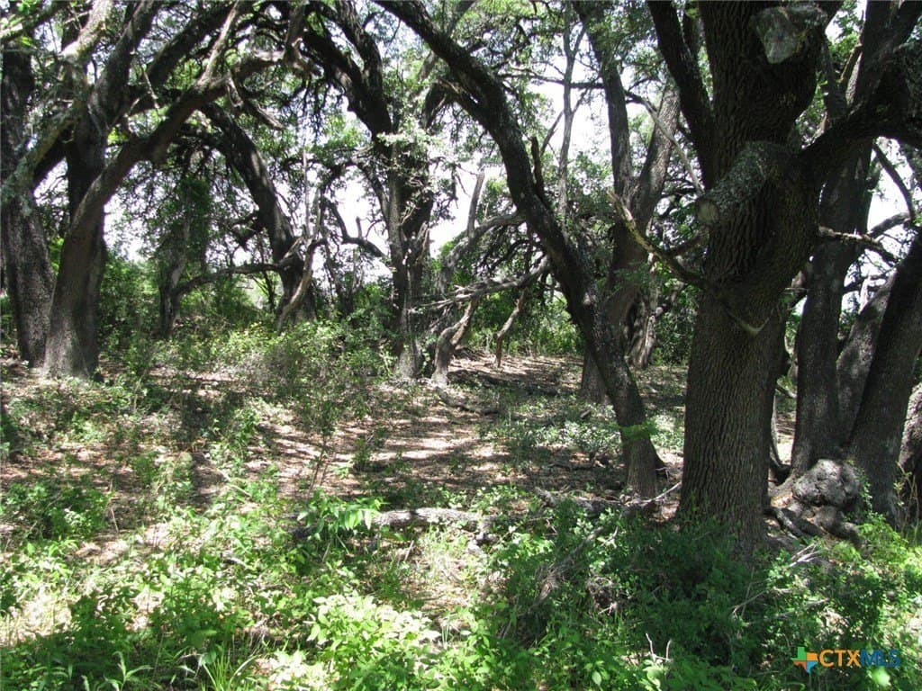 134.55 acres in Hamilton County - photo 7