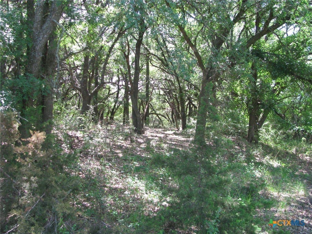 134.55 acres in Hamilton County - photo 16