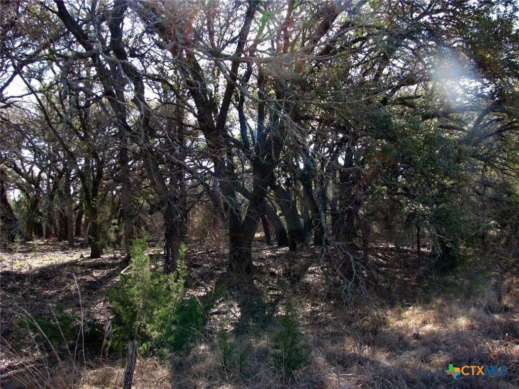 134.55 acres in Hamilton County - photo 17