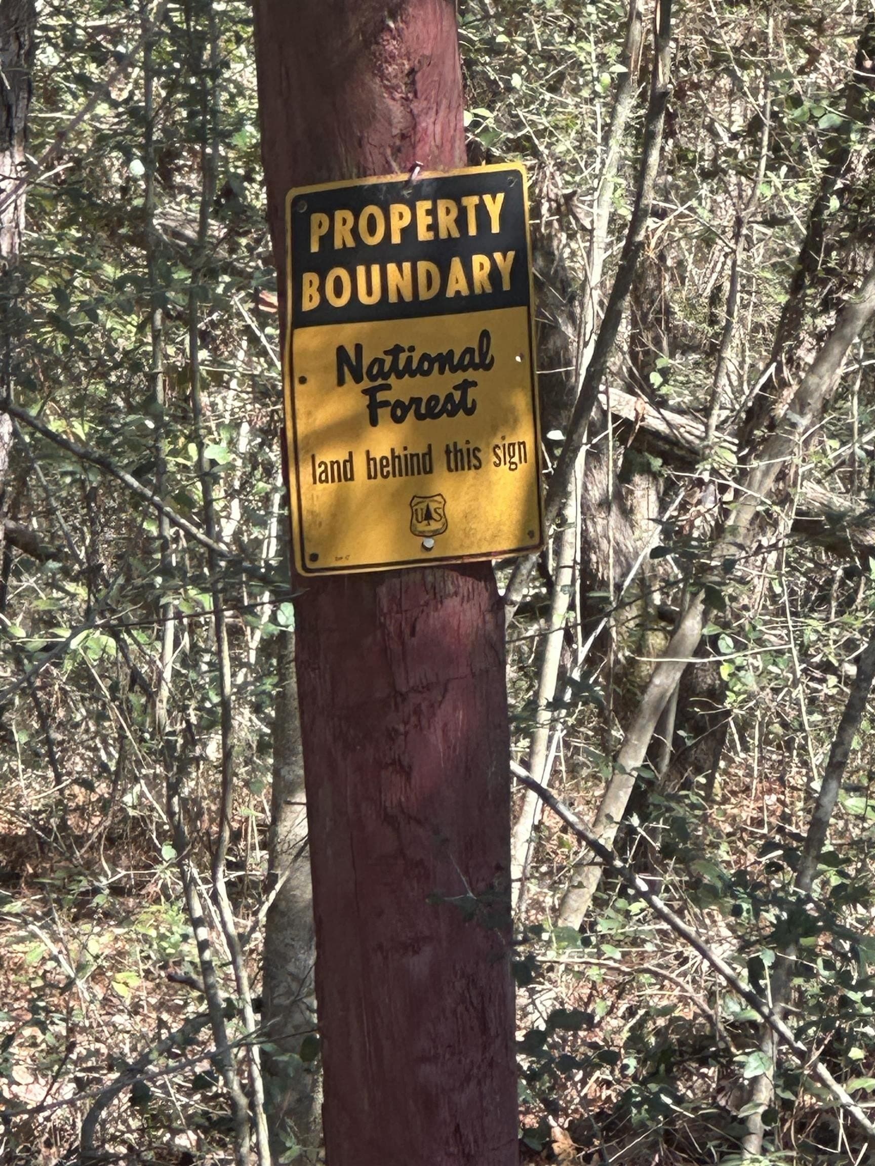 77.87 acres in Shelby County - photo 33