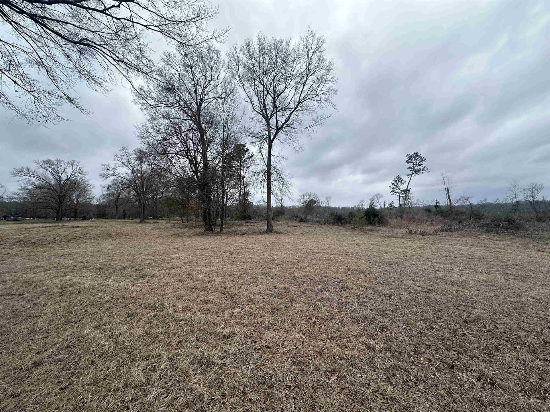 77.87 acres in Shelby County - photo 27