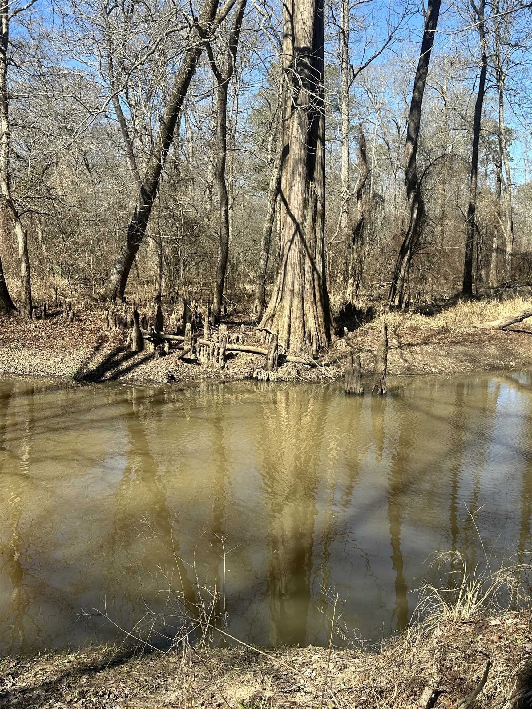 77.87 acres in Shelby County - photo 31