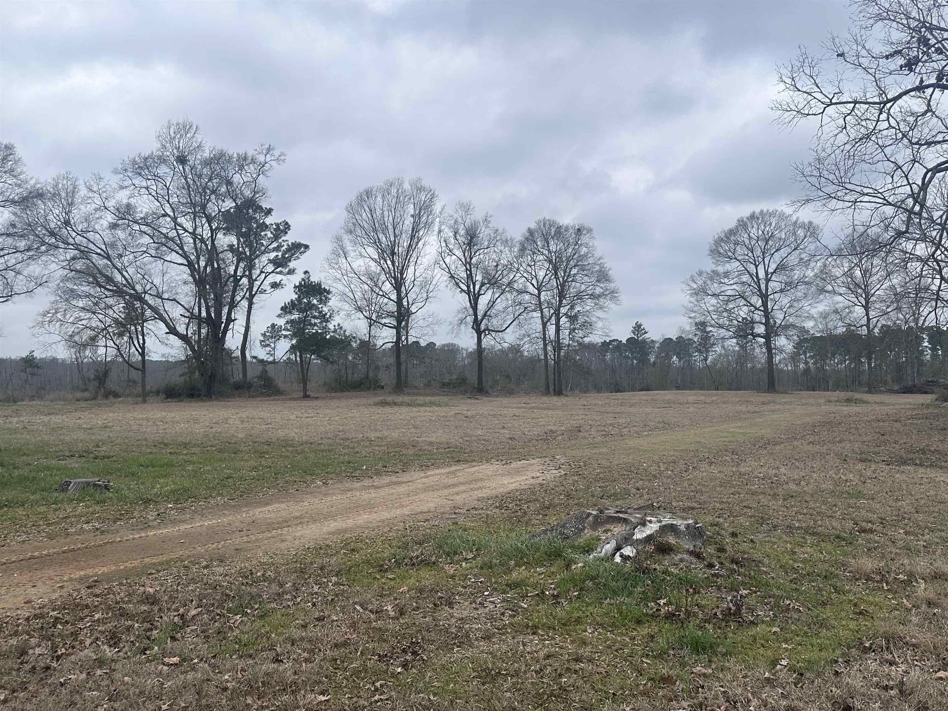 77.87 acres in Shelby County - photo 19
