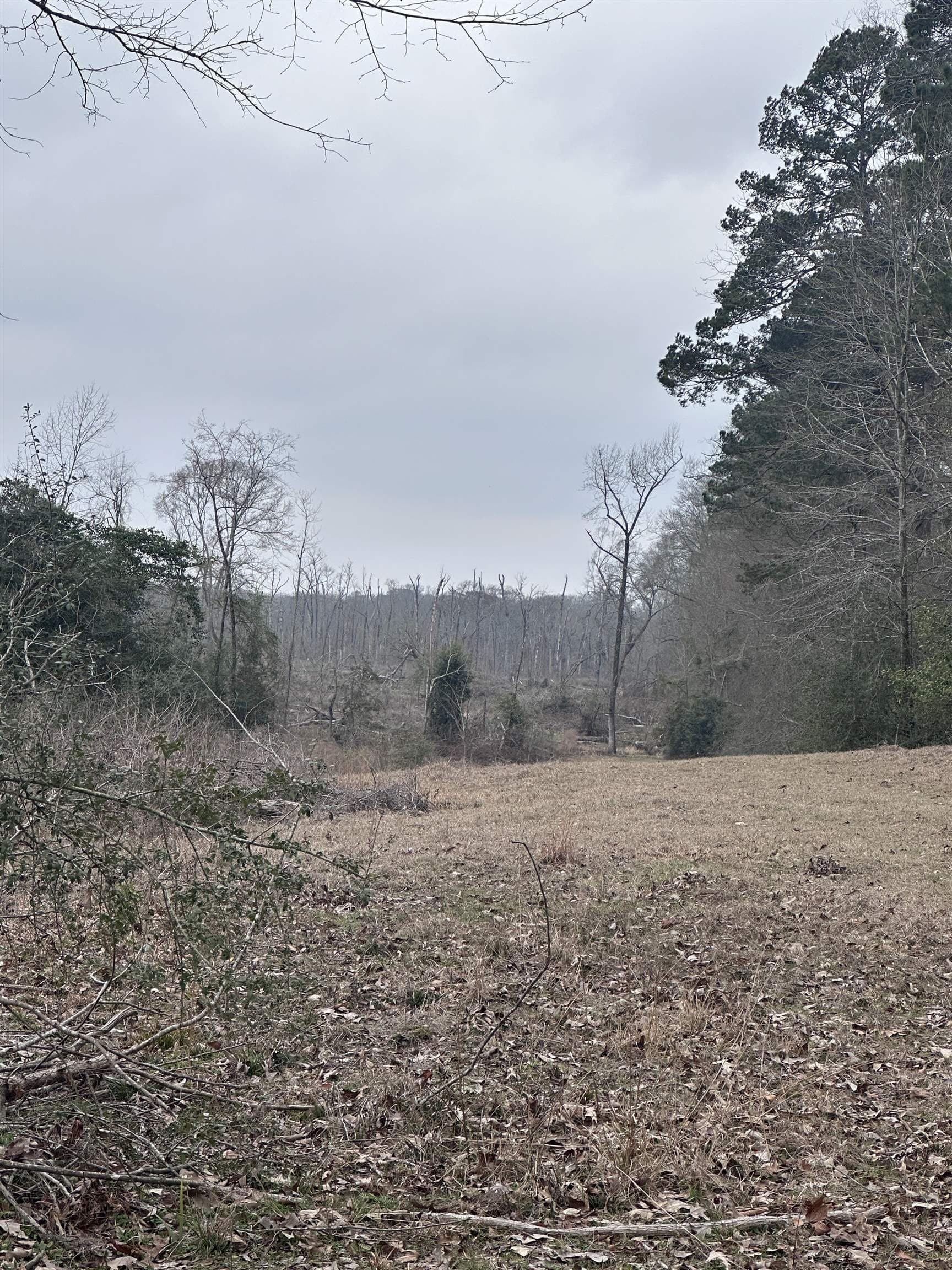 77.87 acres in Shelby County - photo 21