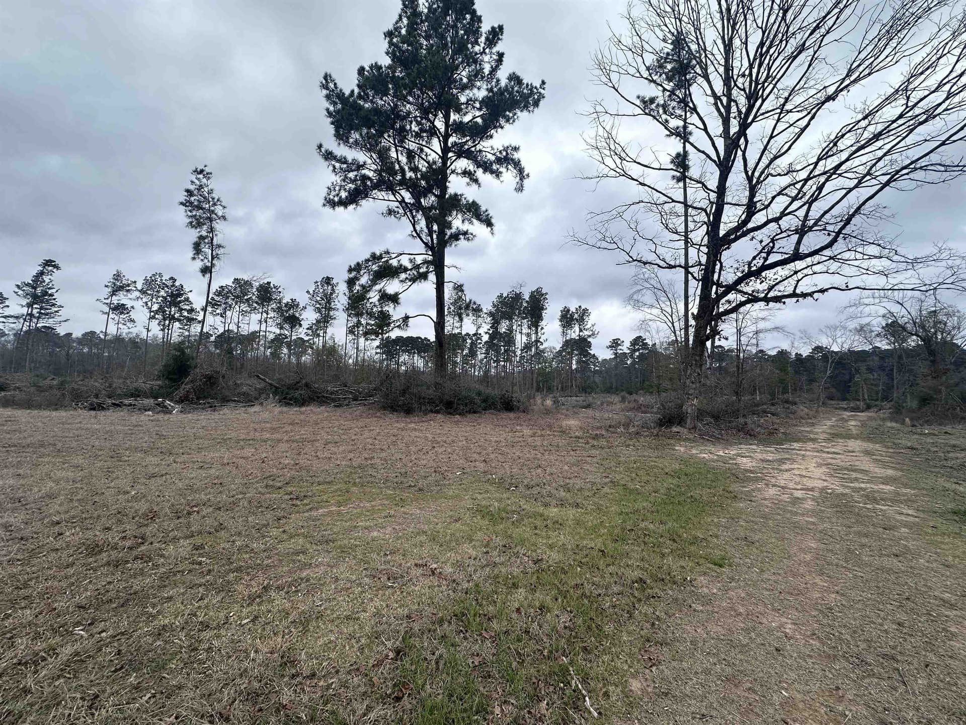 77.87 acres in Shelby County - photo 16