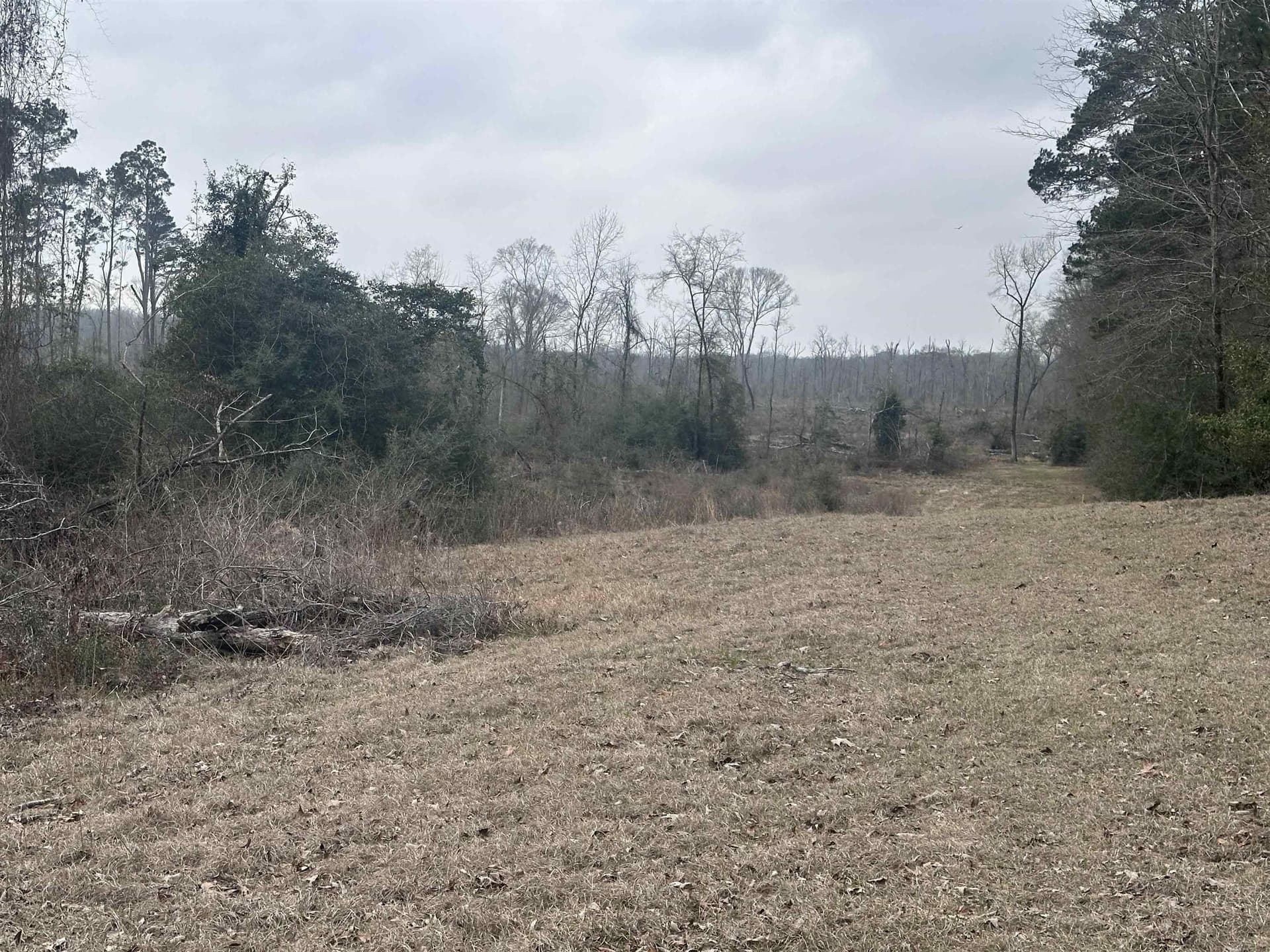 77.87 acres in Shelby County - photo 25