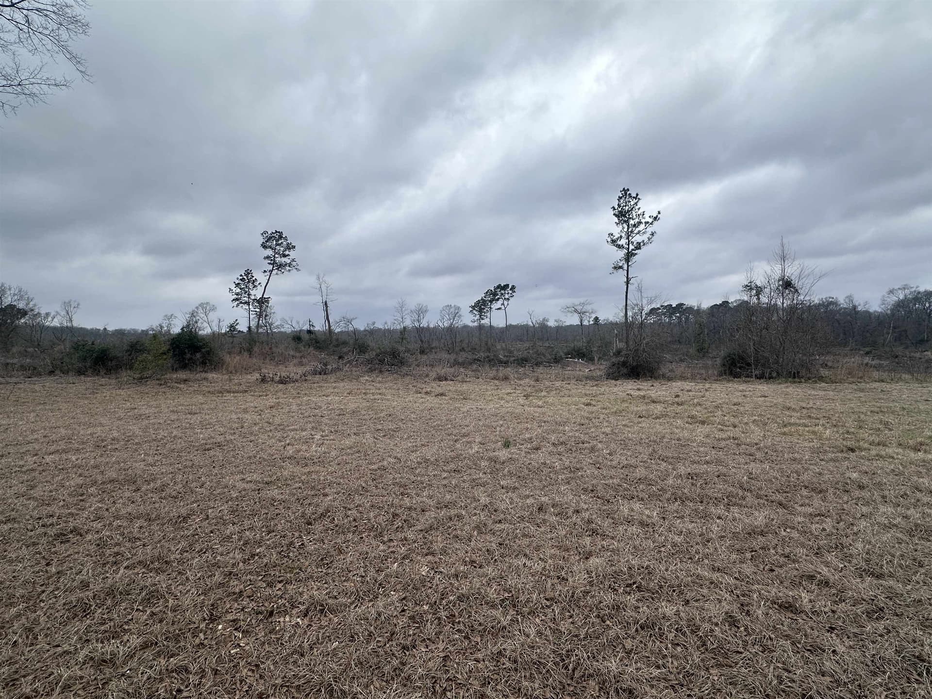 77.87 acres in Shelby County - photo 28