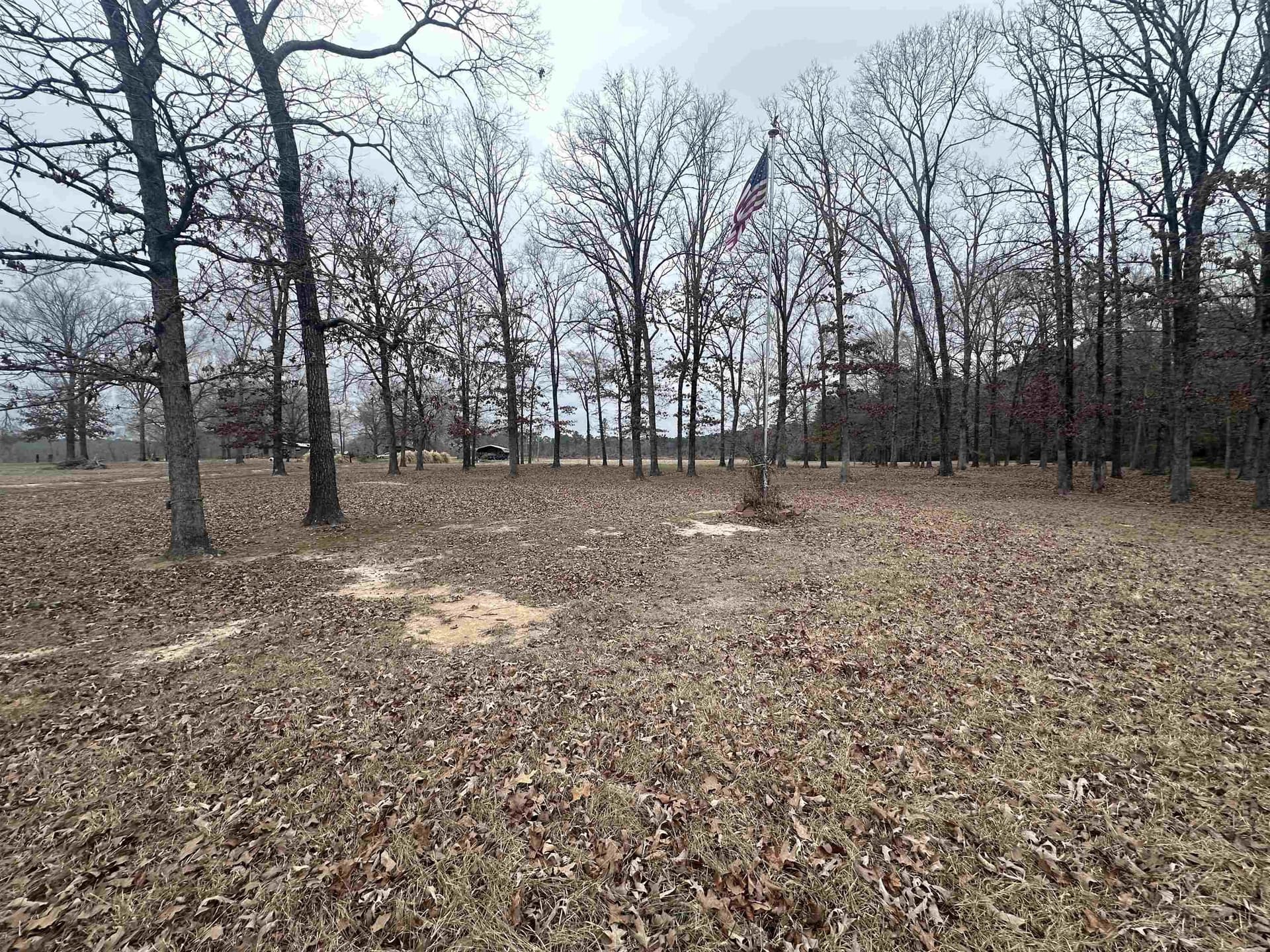 77.87 acres in Shelby County - photo 15
