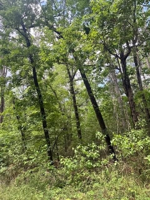 2.13 acres in Texas County
