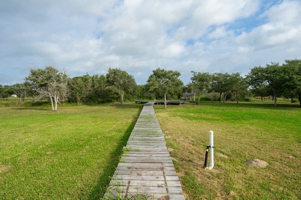 100,000 acres in San Patricio County - photo 35
