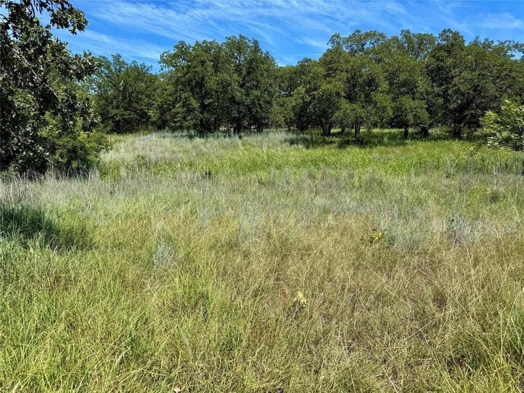 22.5 acres in Montague County featured view