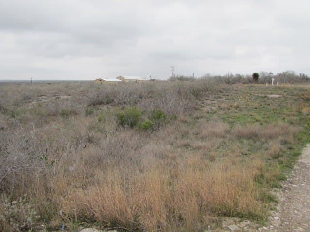 0.52 acres in Live Oak County gallery image 3