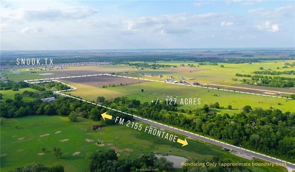127.16 acres in Burleson County gallery image 3