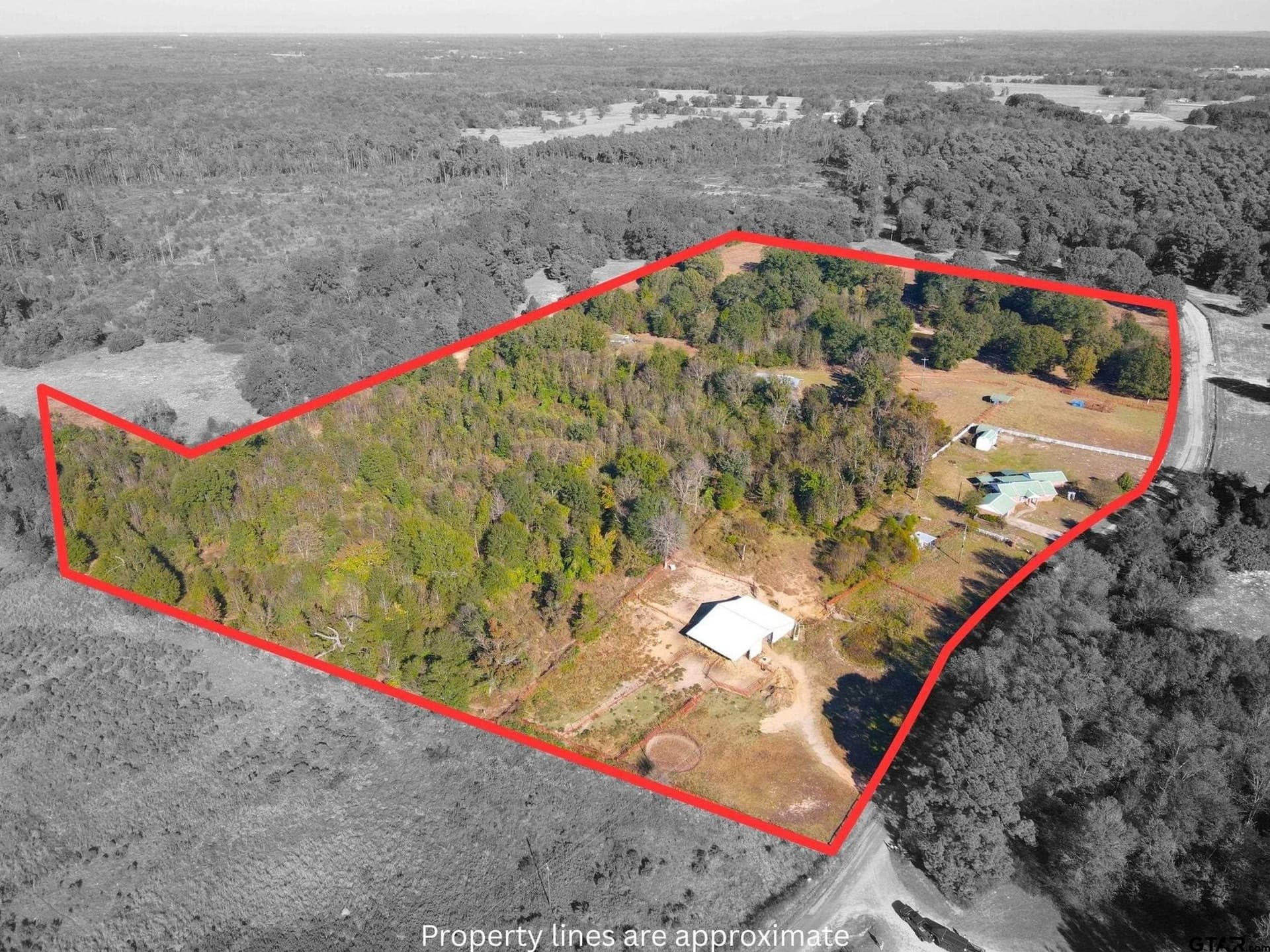 43 acres in Camp County gallery image 3