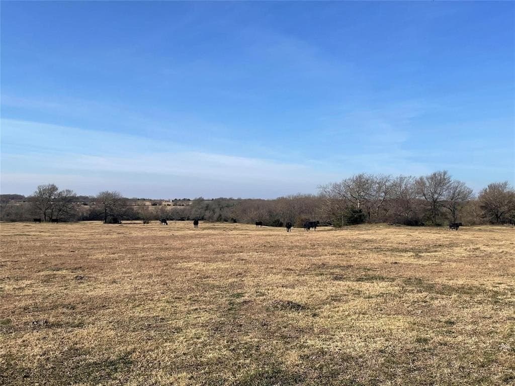 124.26 acres in Lamar County featured view