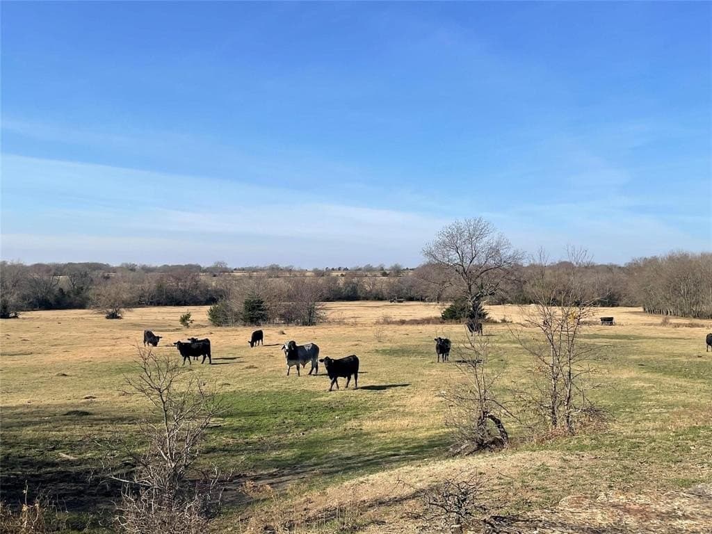 124.26 acres in Lamar County gallery image 4