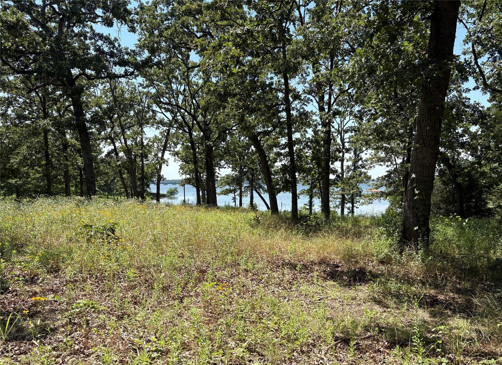 0.3 acres in Wood County - photo 15