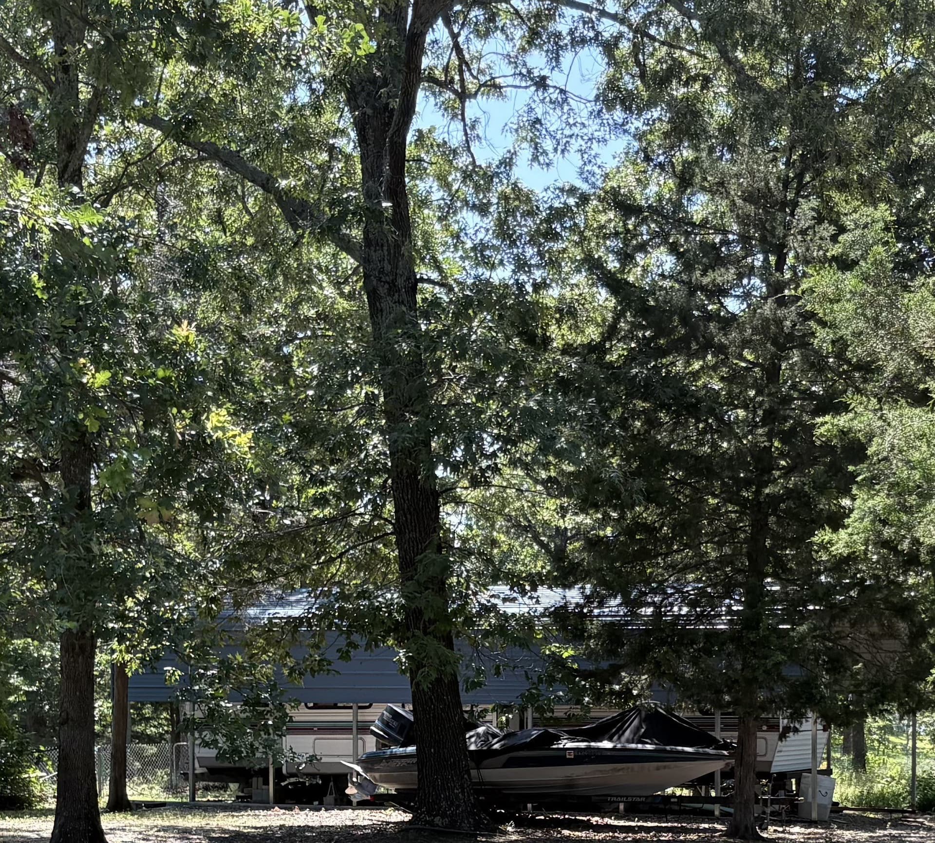 0.3 acres in Wood County - photo 14