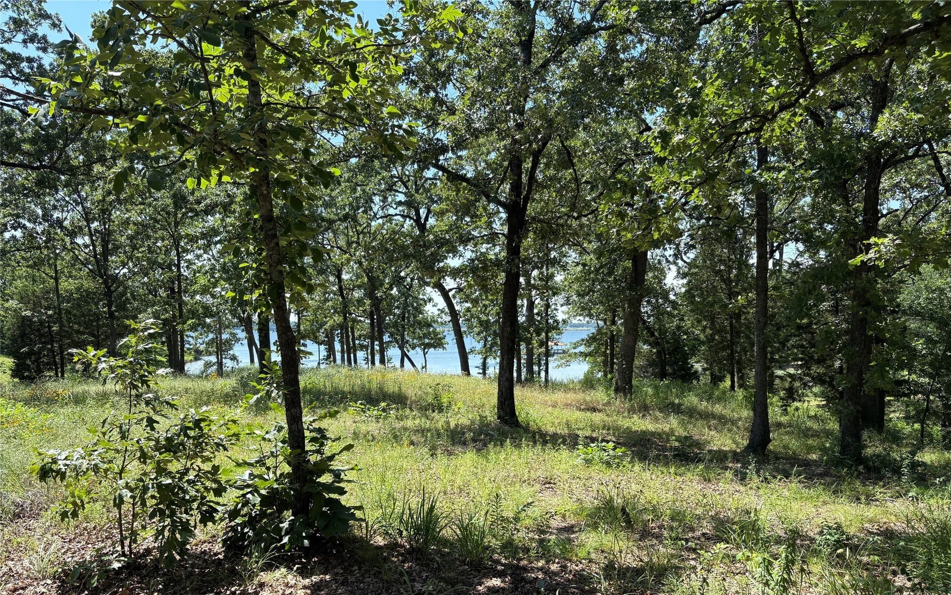 0.3 acres in Wood County - photo 12