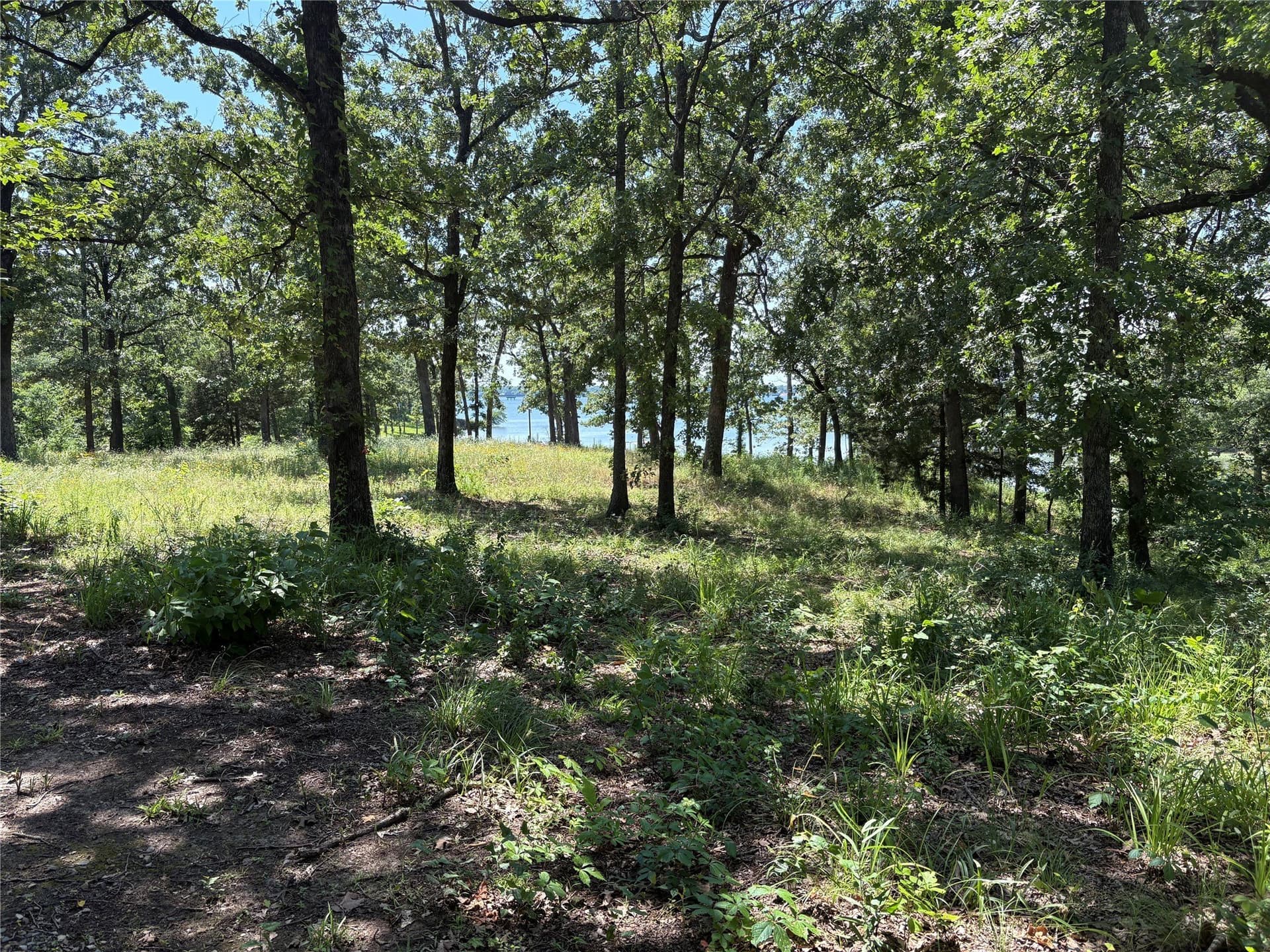 0.3 acres in Wood County - photo 13