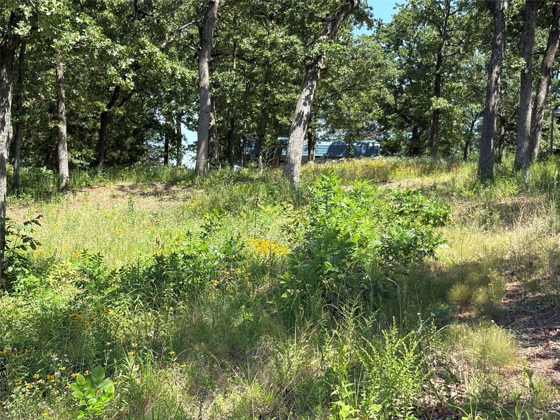 0.3 acres in Wood County - photo 7