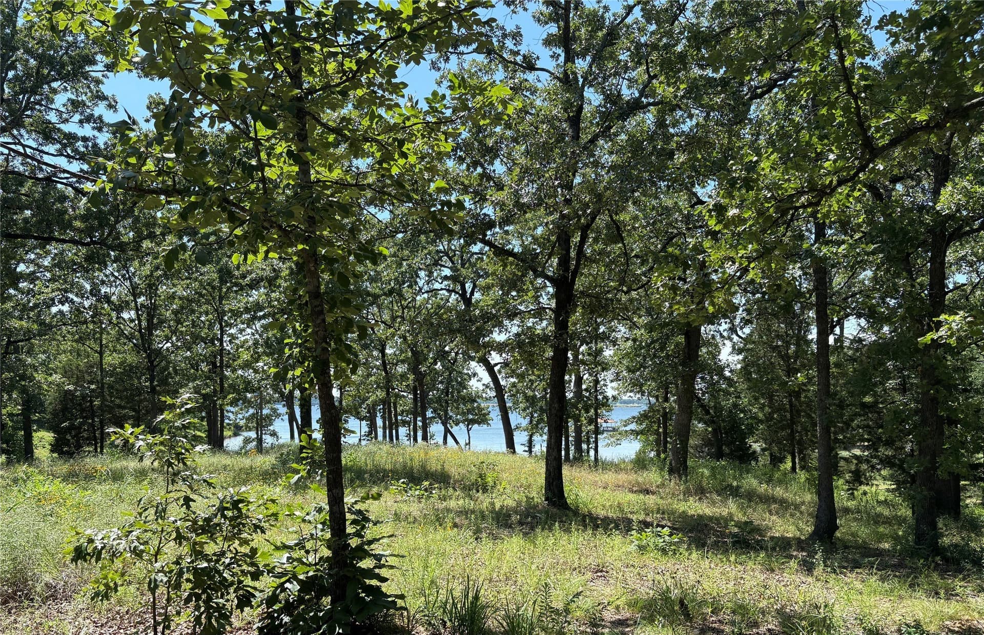 0.3 acres in Wood County - photo 11