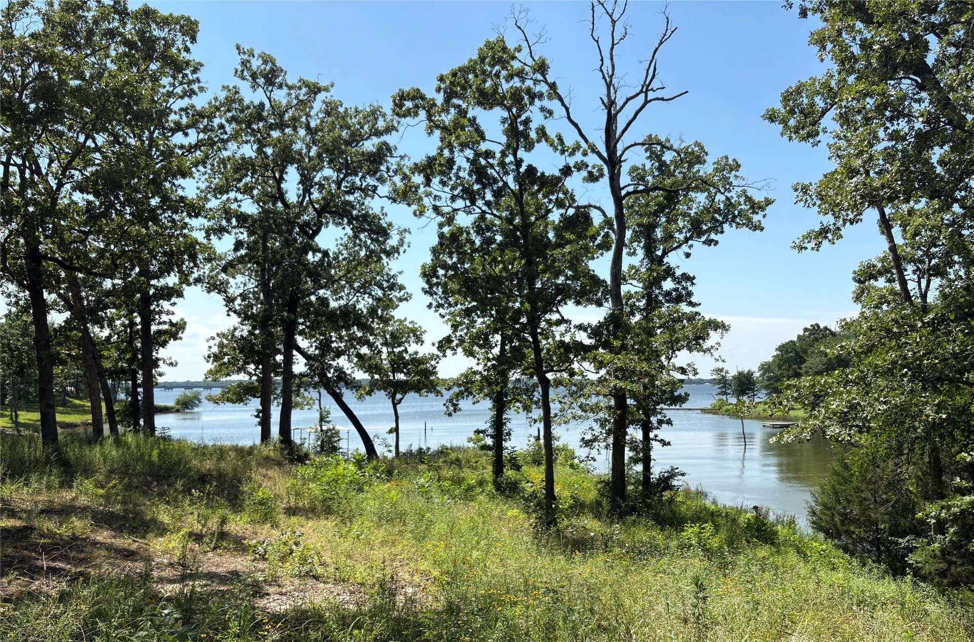 0.3 acres in Wood County - photo 3