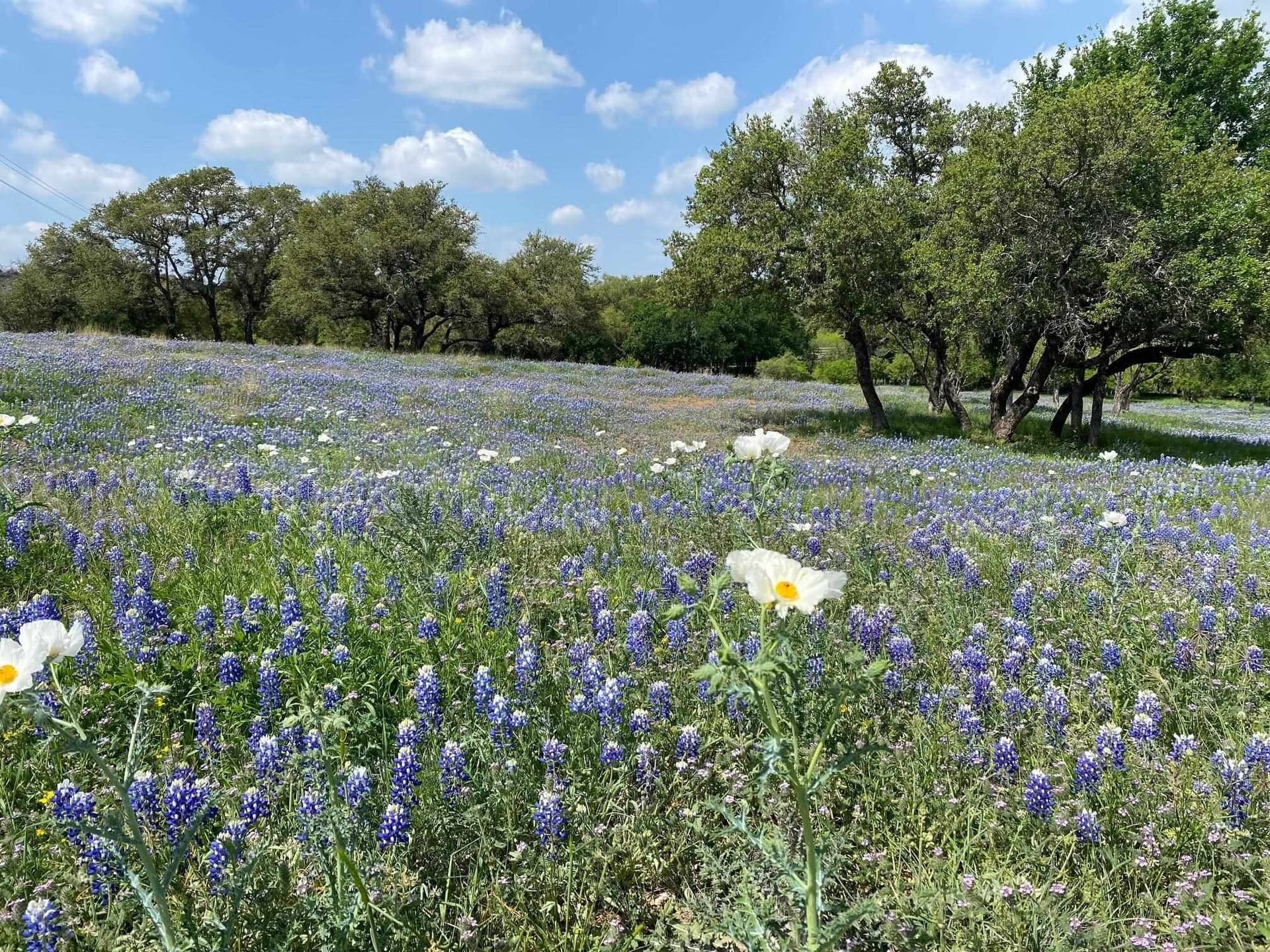 5.05 acres in Llano County - photo 15