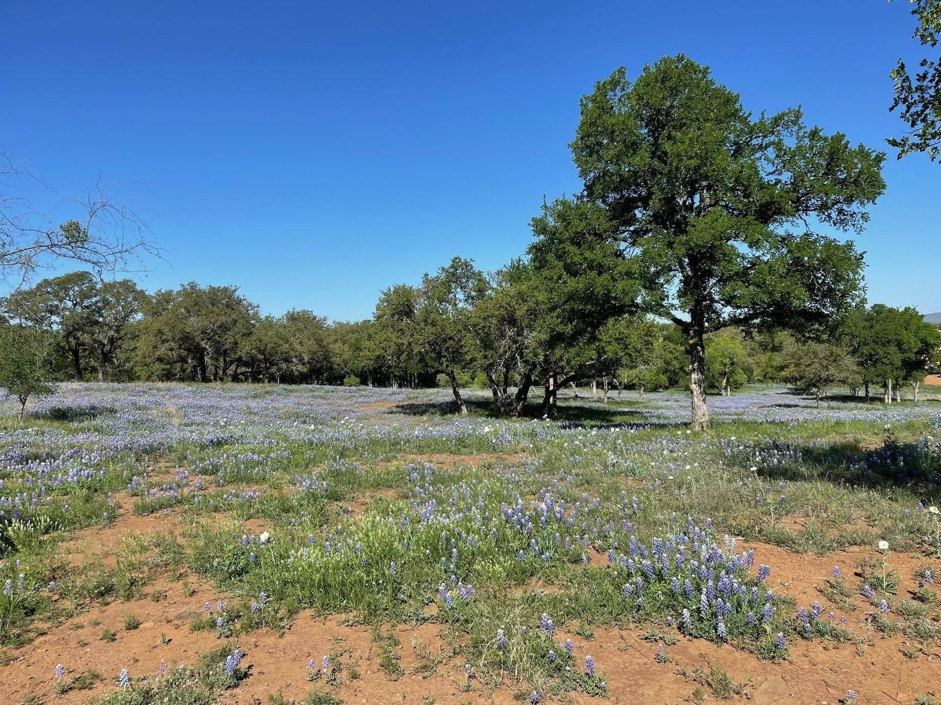 5.05 acres in Llano County - photo 16