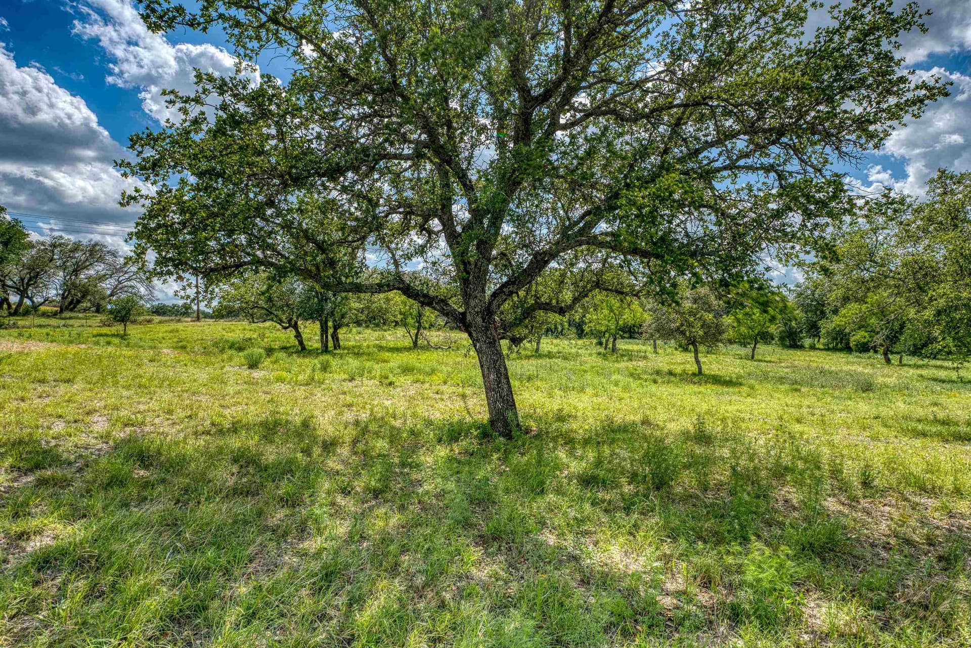 5.05 acres in Llano County - photo 14
