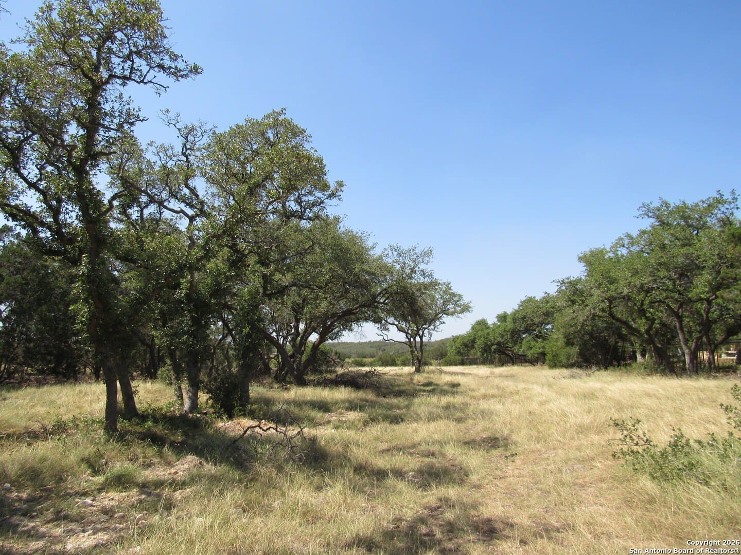 1.06 acres in Comal County gallery image 3
