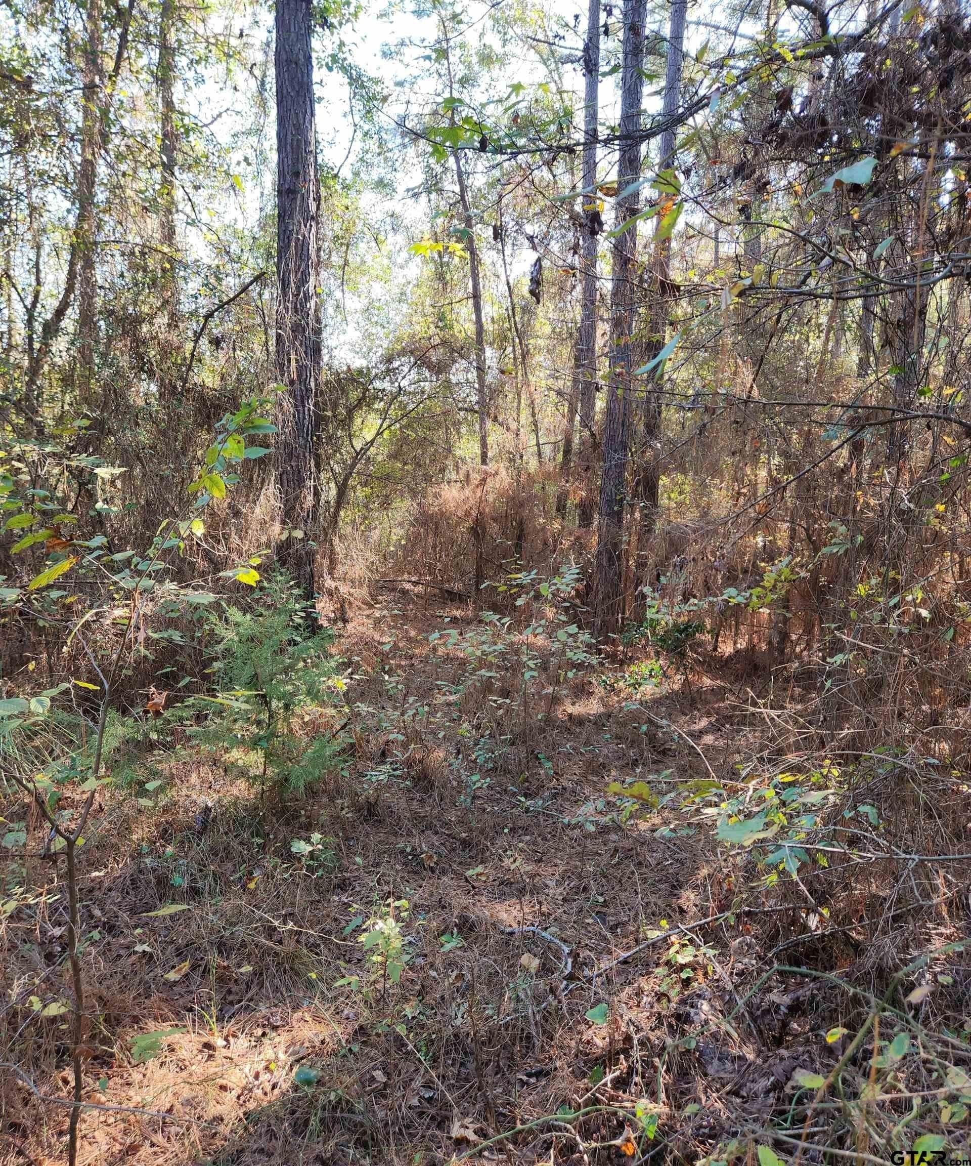 115.59 acres in Harrison County - photo 19