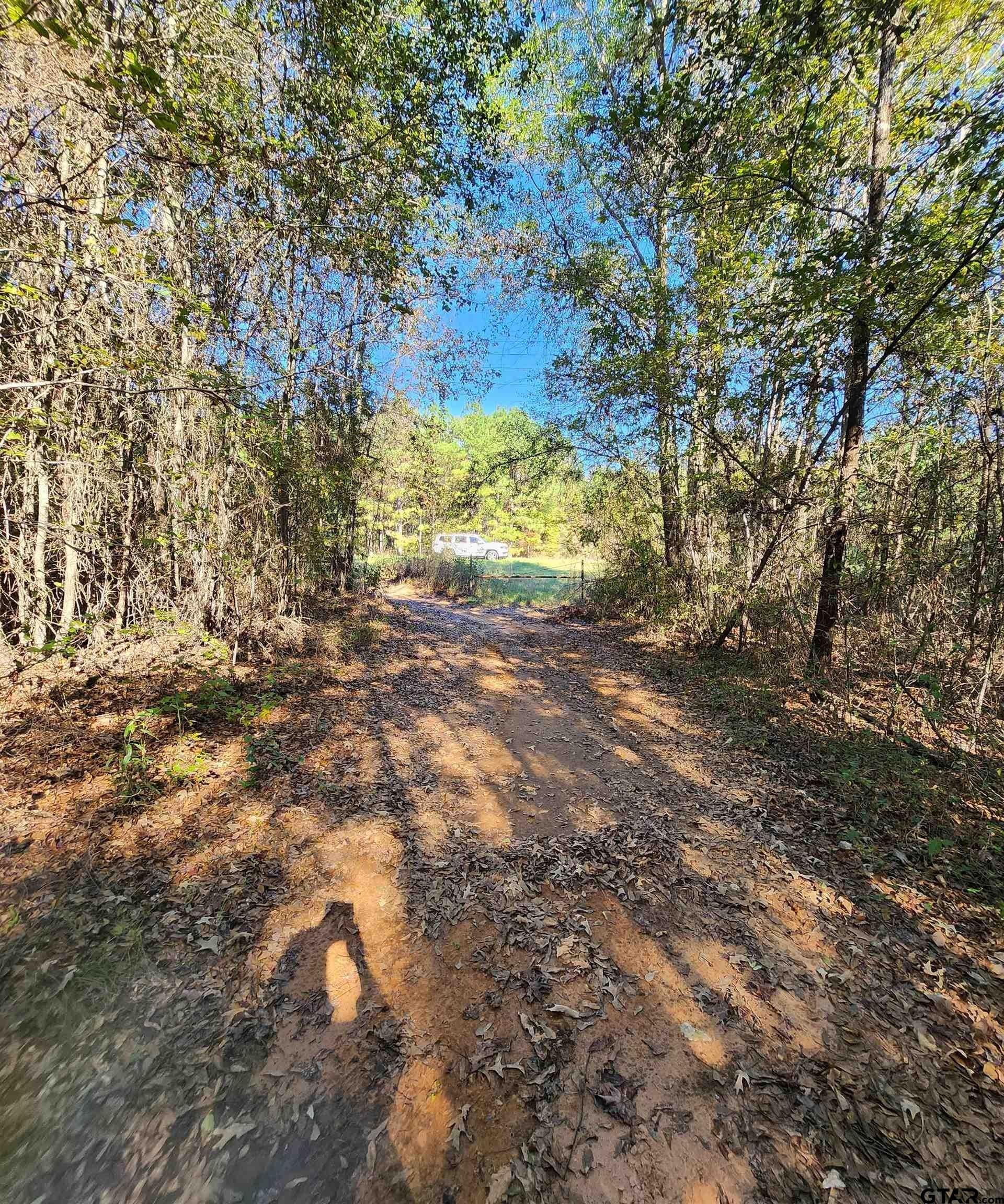 115.59 acres in Harrison County - photo 9
