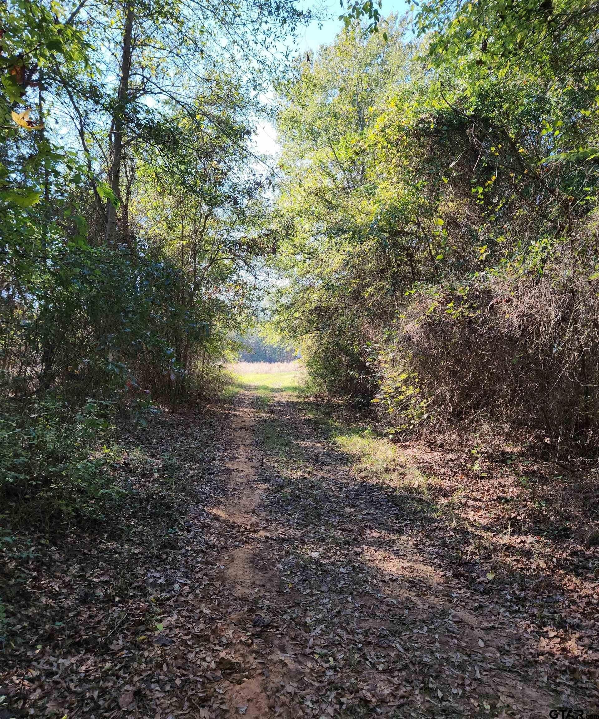 115.59 acres in Harrison County - photo 13