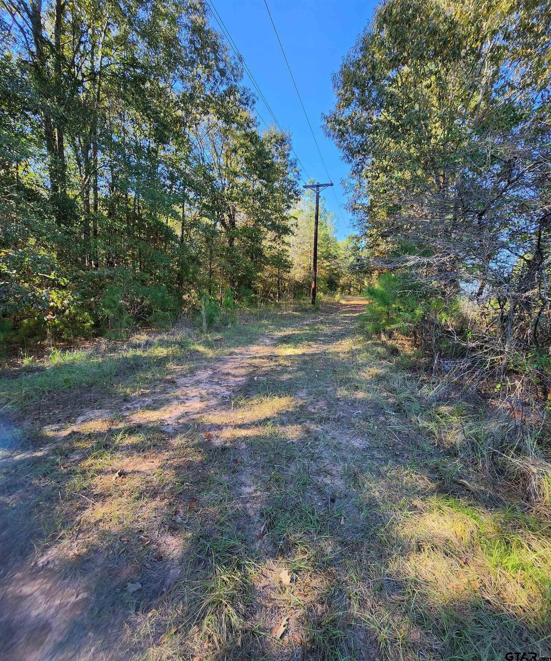 115.59 acres in Harrison County - photo 7