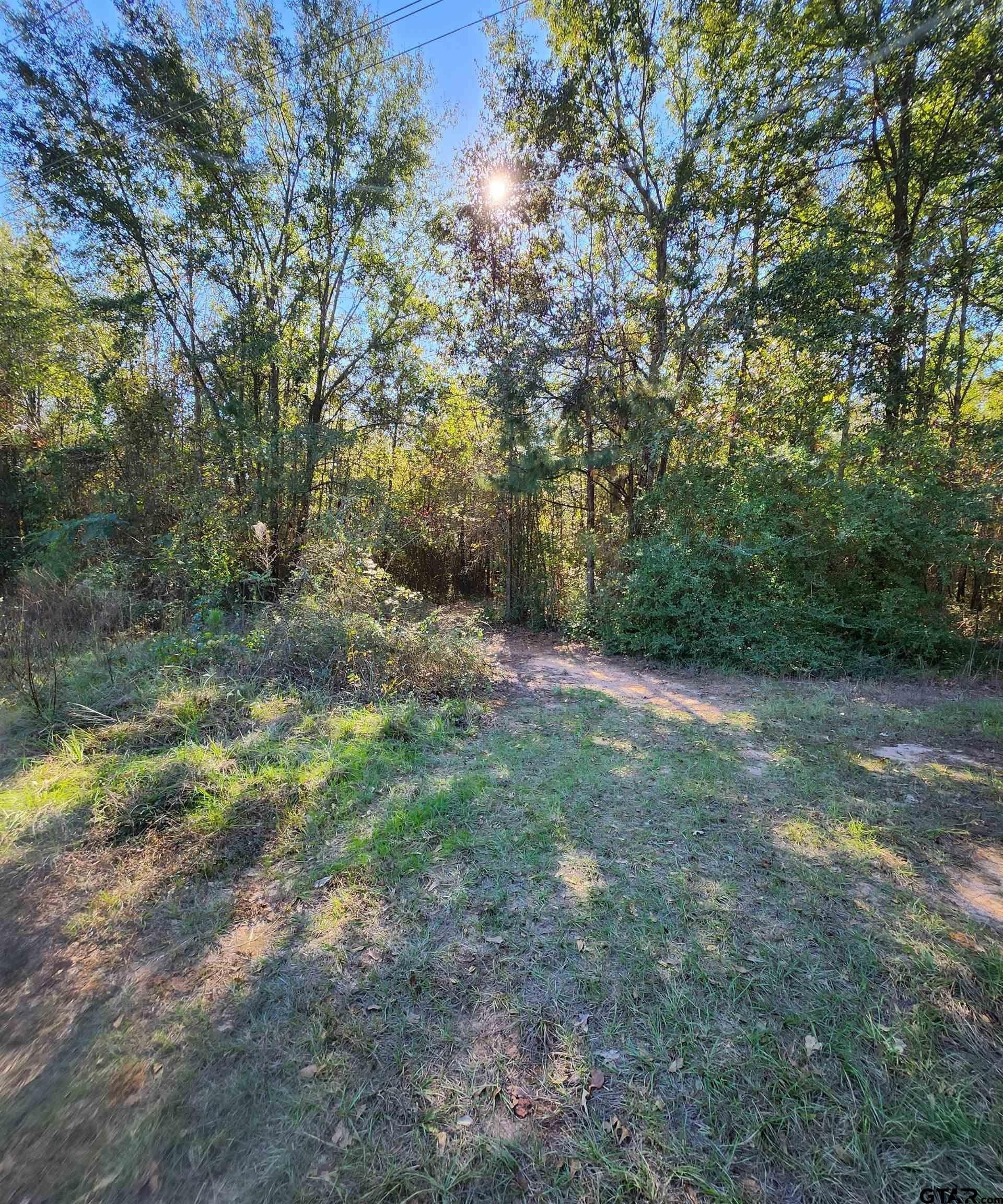 115.59 acres in Harrison County - photo 8