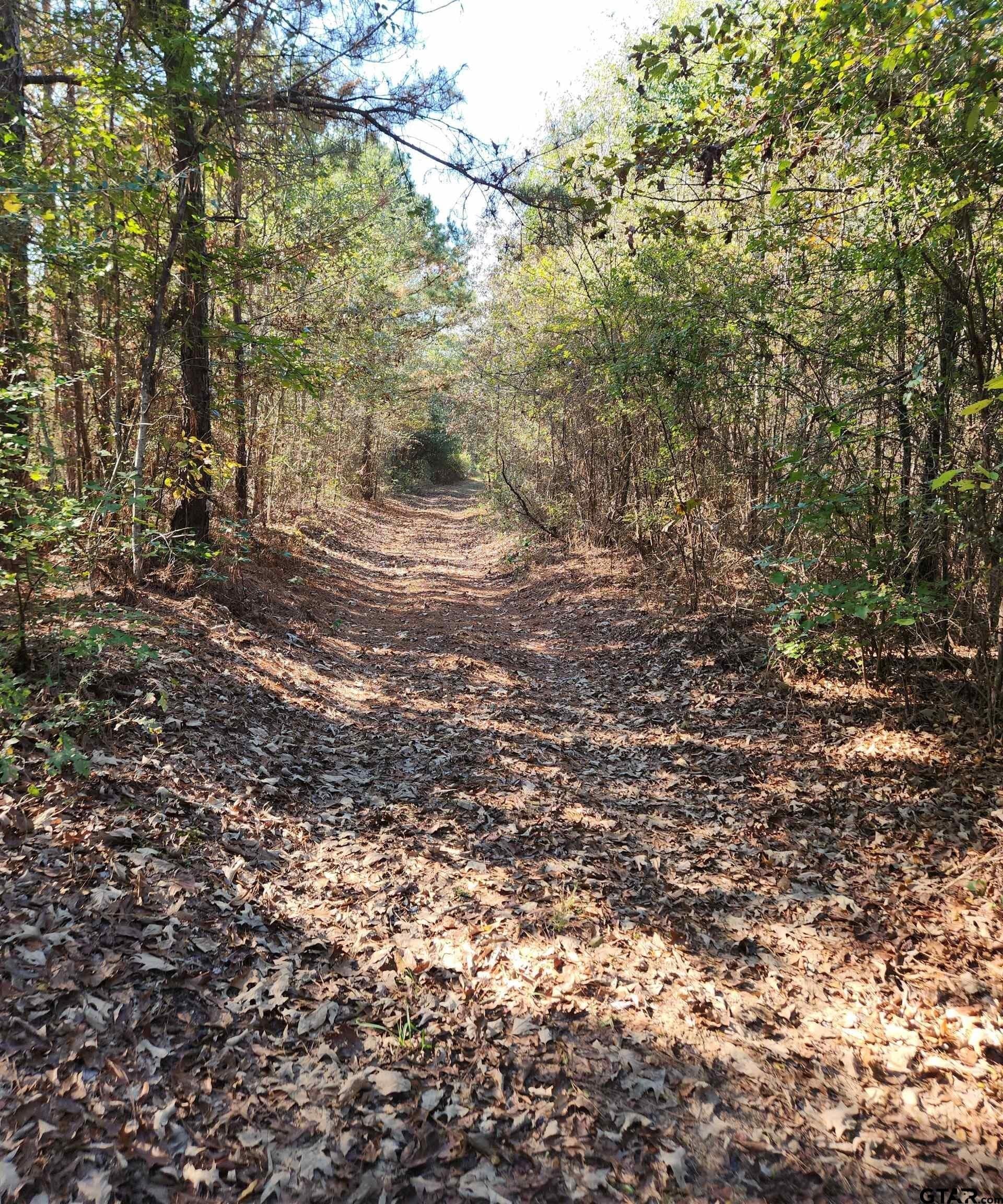 115.59 acres in Harrison County - photo 17