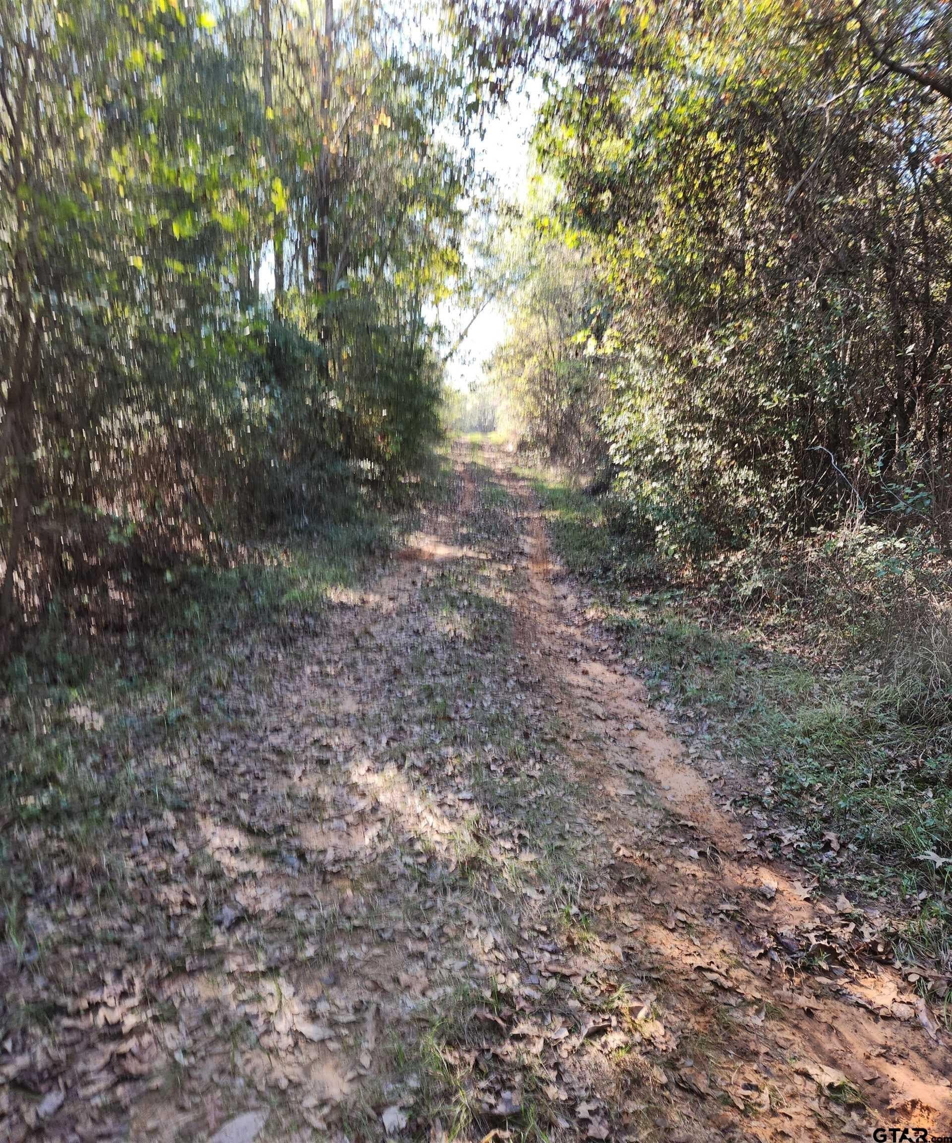 115.59 acres in Harrison County - photo 10