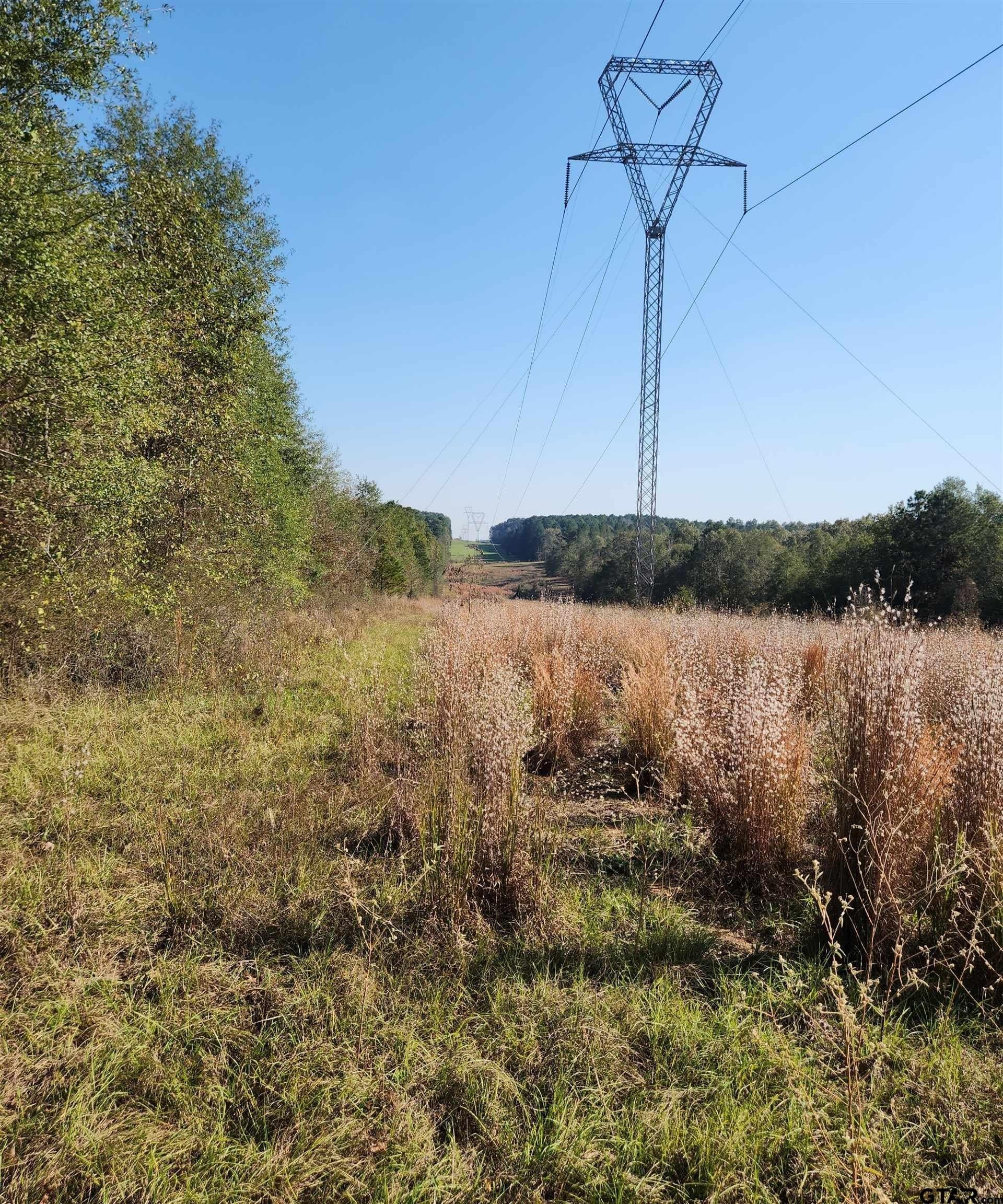 115.59 acres in Harrison County - photo 14