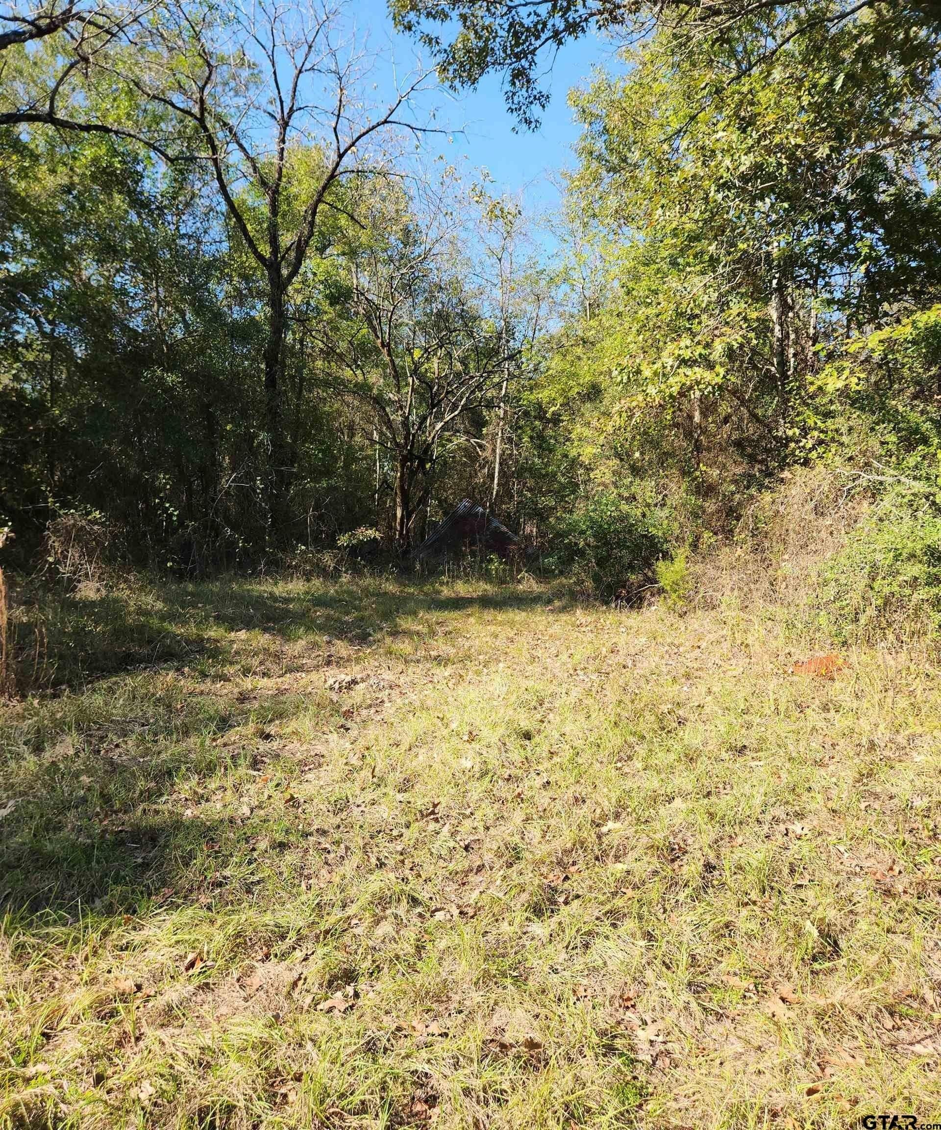 115.59 acres in Harrison County - photo 11