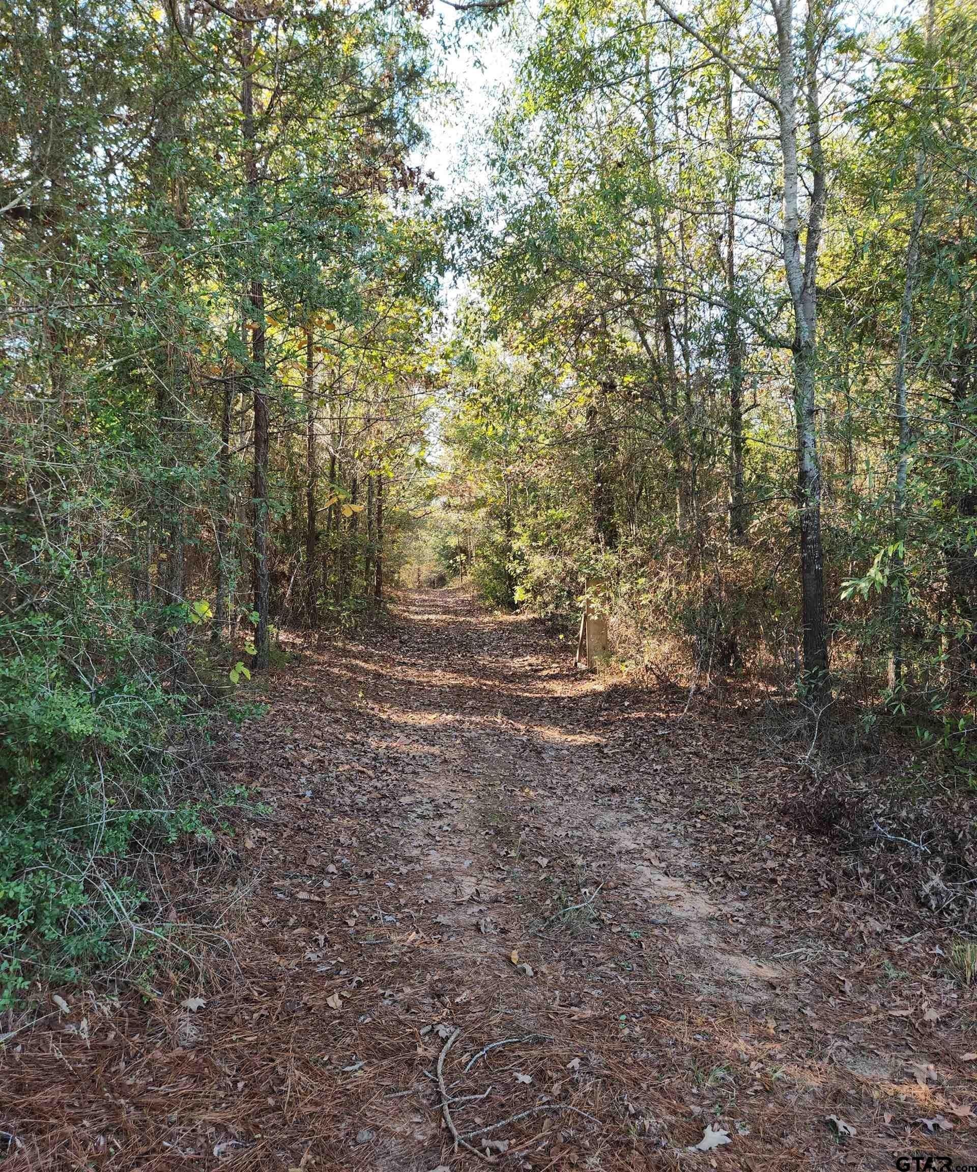 115.59 acres in Harrison County - photo 16